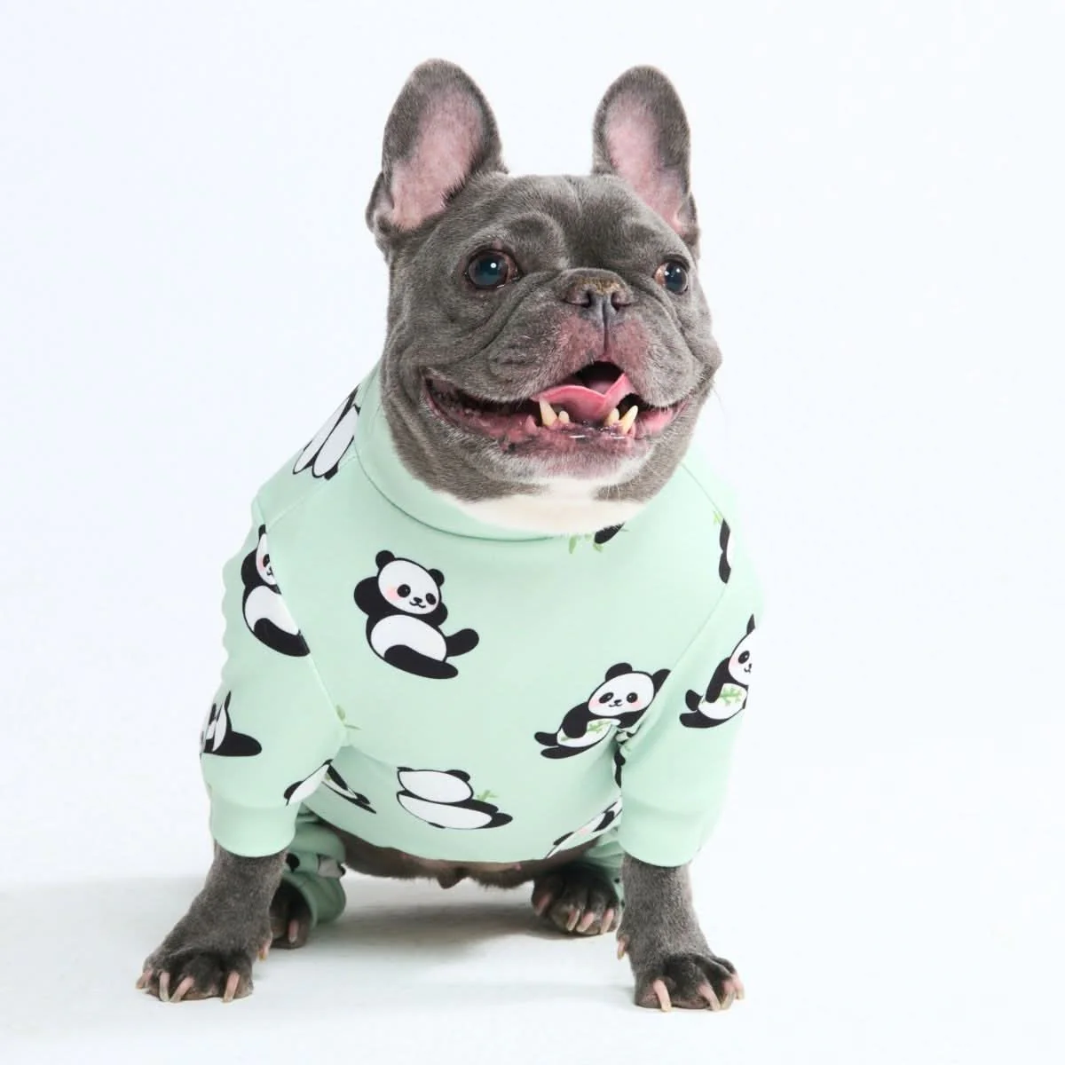 Dog Pajama Prints - Image 14