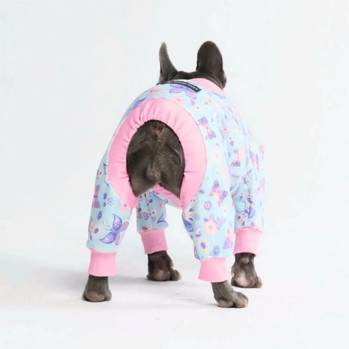 Dog Pajama Prints - Image 44