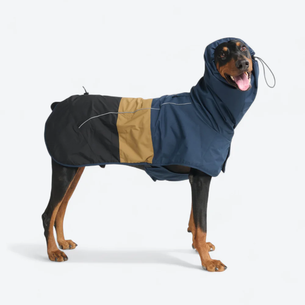 Breatheshield™ Dog Raincoat - Blue Gold Black - Image 4