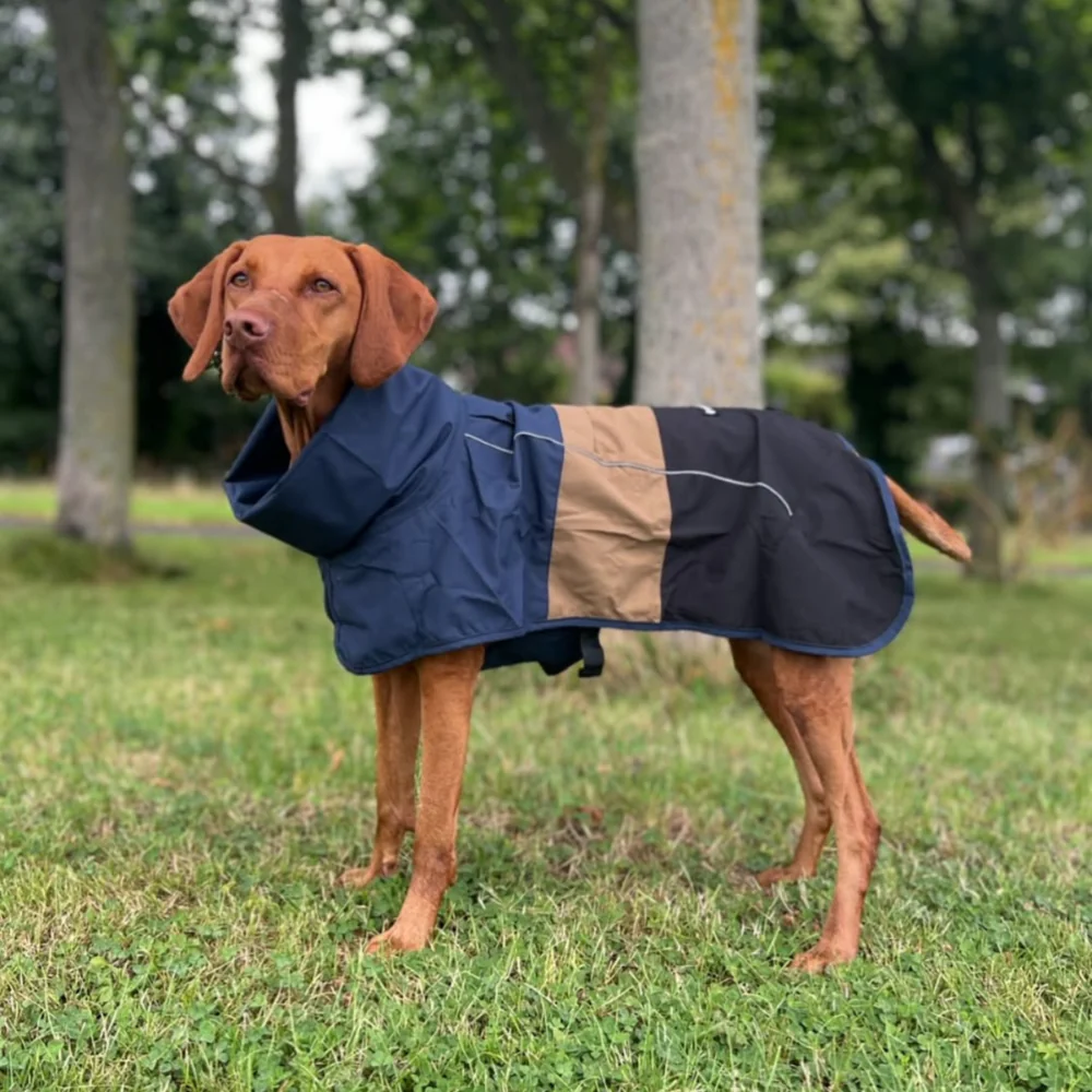 Breatheshield™ Dog Raincoat - Blue Gold Black - Image 9