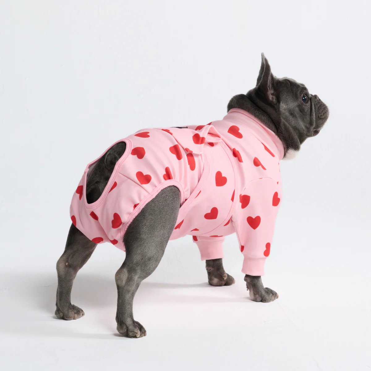 Dog Surgical Suit - Image 133