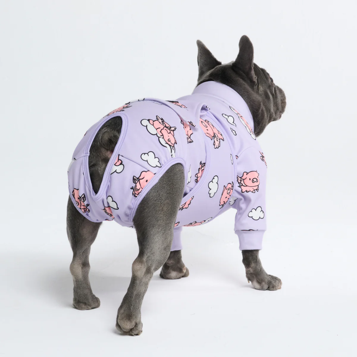 Dog Surgical Suit - When Pigs Fly - Image 10
