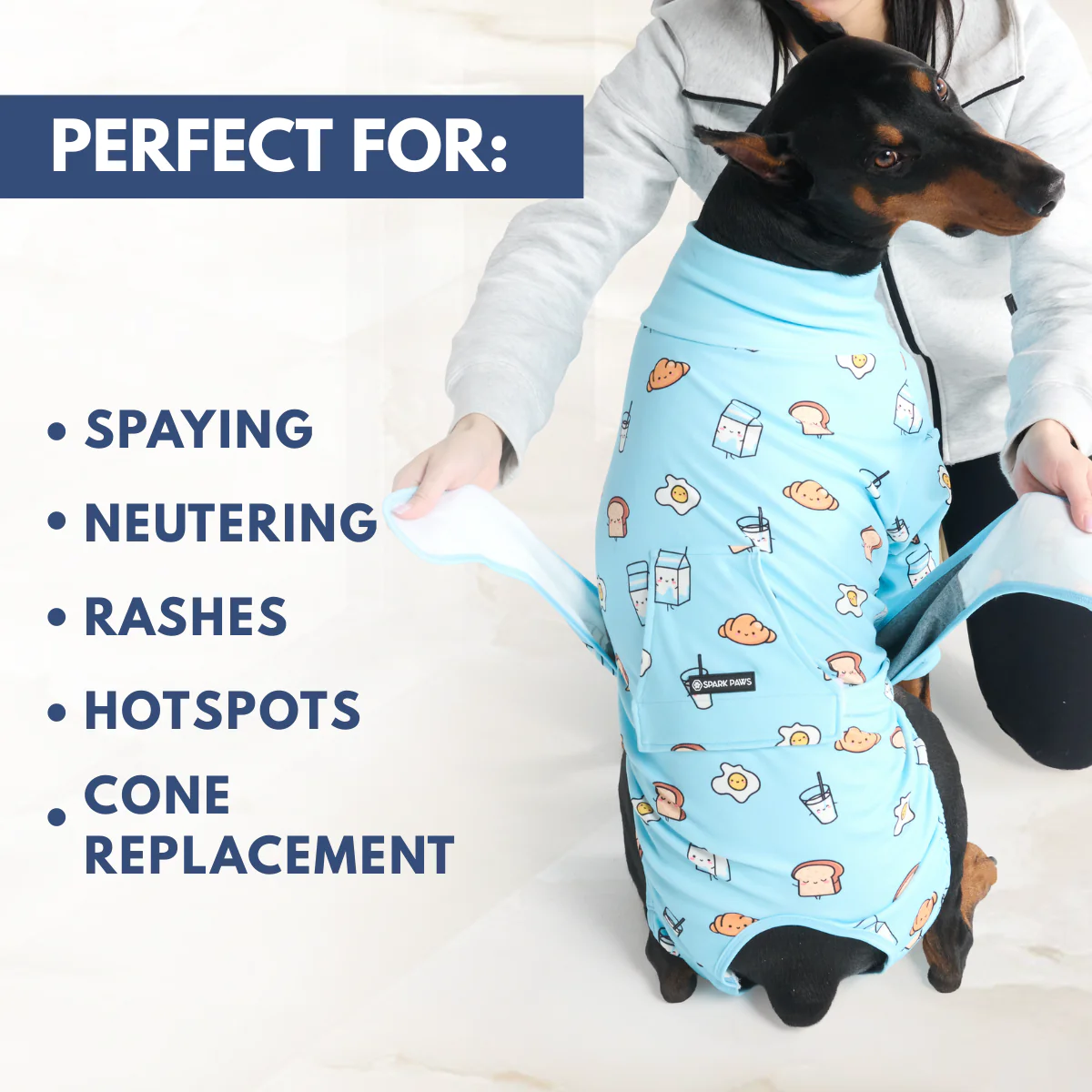 Dog Surgical Suit - Breakfast Blue - Image 7