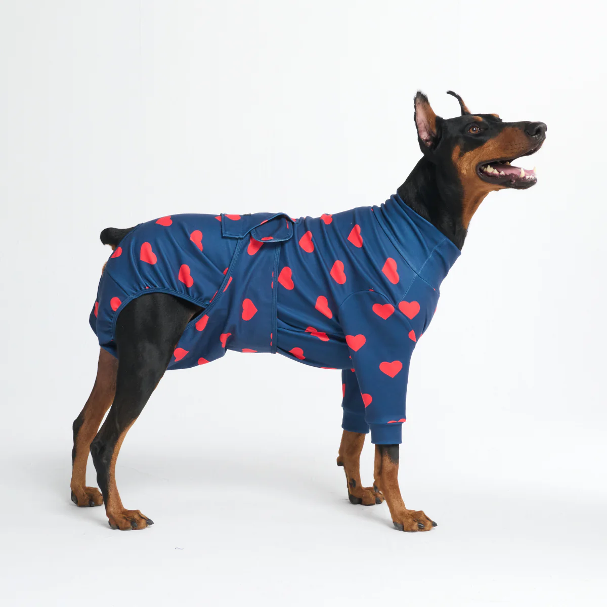 Dog Surgical Suit - Hearts - Image 5