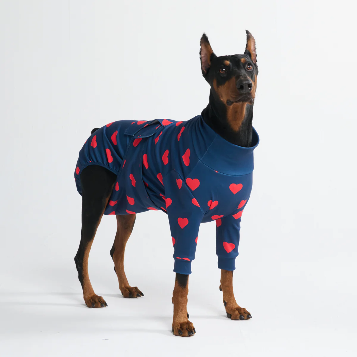 Dog Surgical Suit - Hearts - Image 12