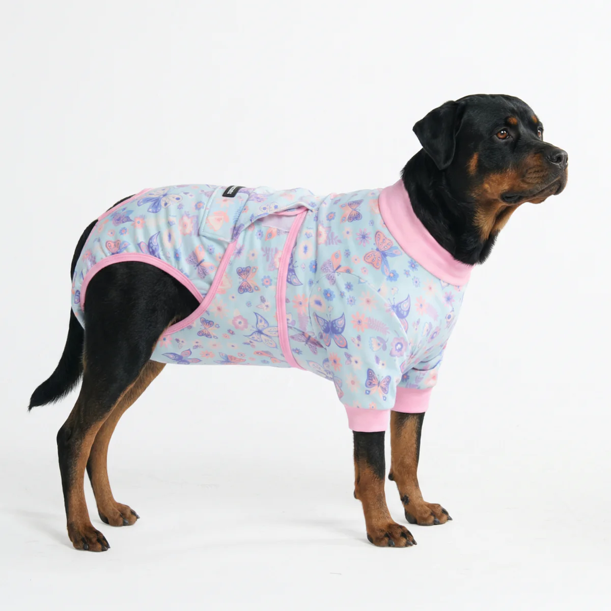 Dog Surgical Suit - Butterfly - Image 6