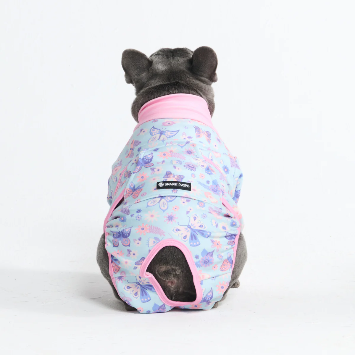 Dog Surgical Suit - Butterfly - Image 12