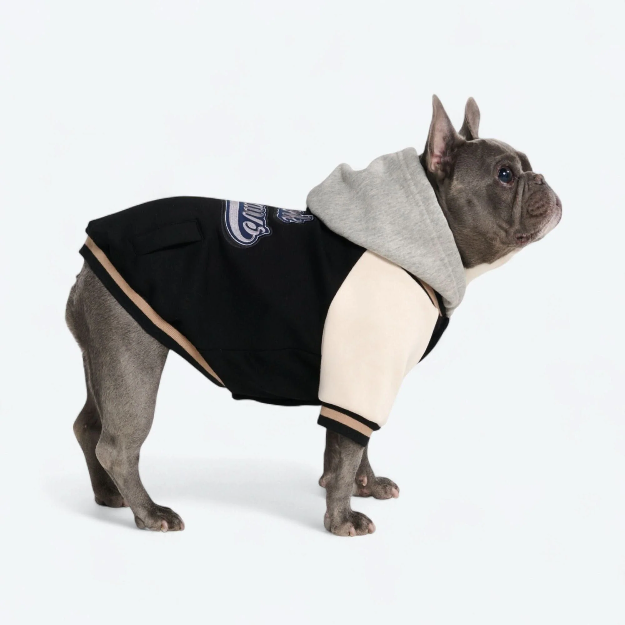 Dog Varsity Jacket - Black - Image 5