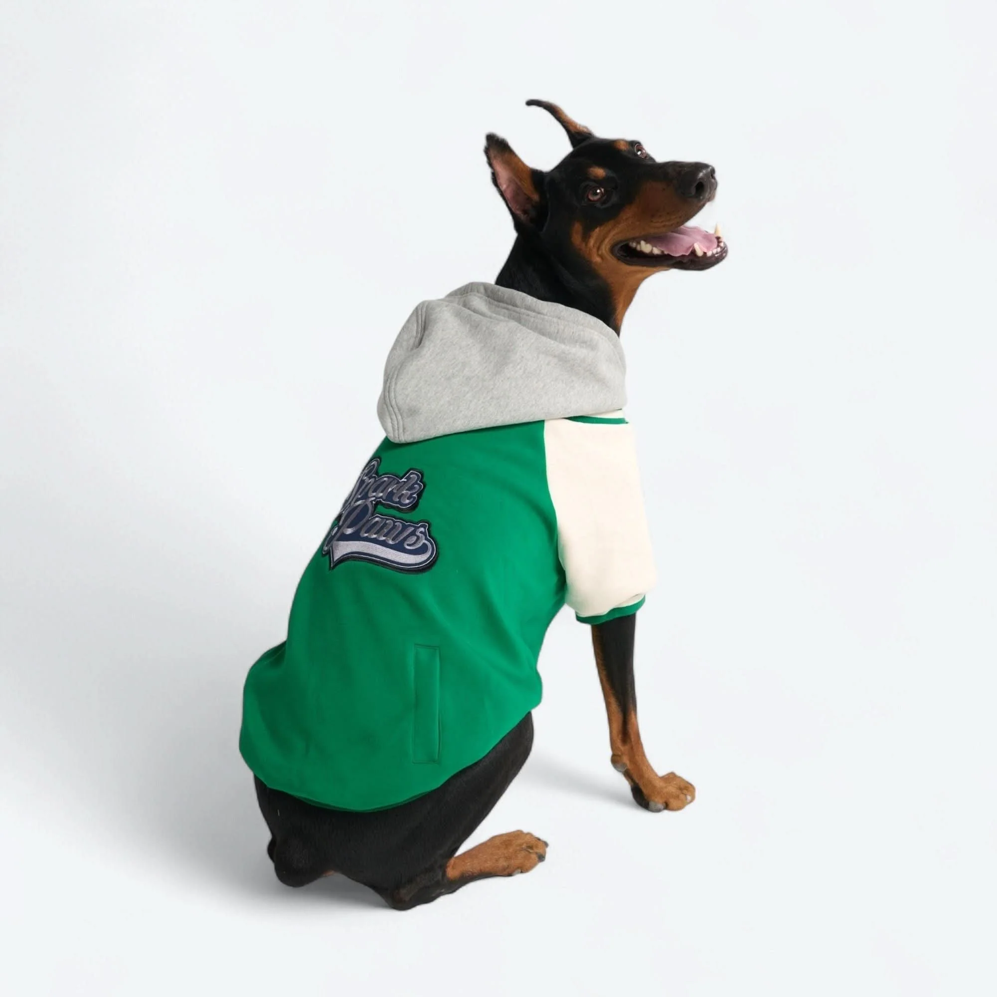 Dog Varsity Jacket - Green - Image 3