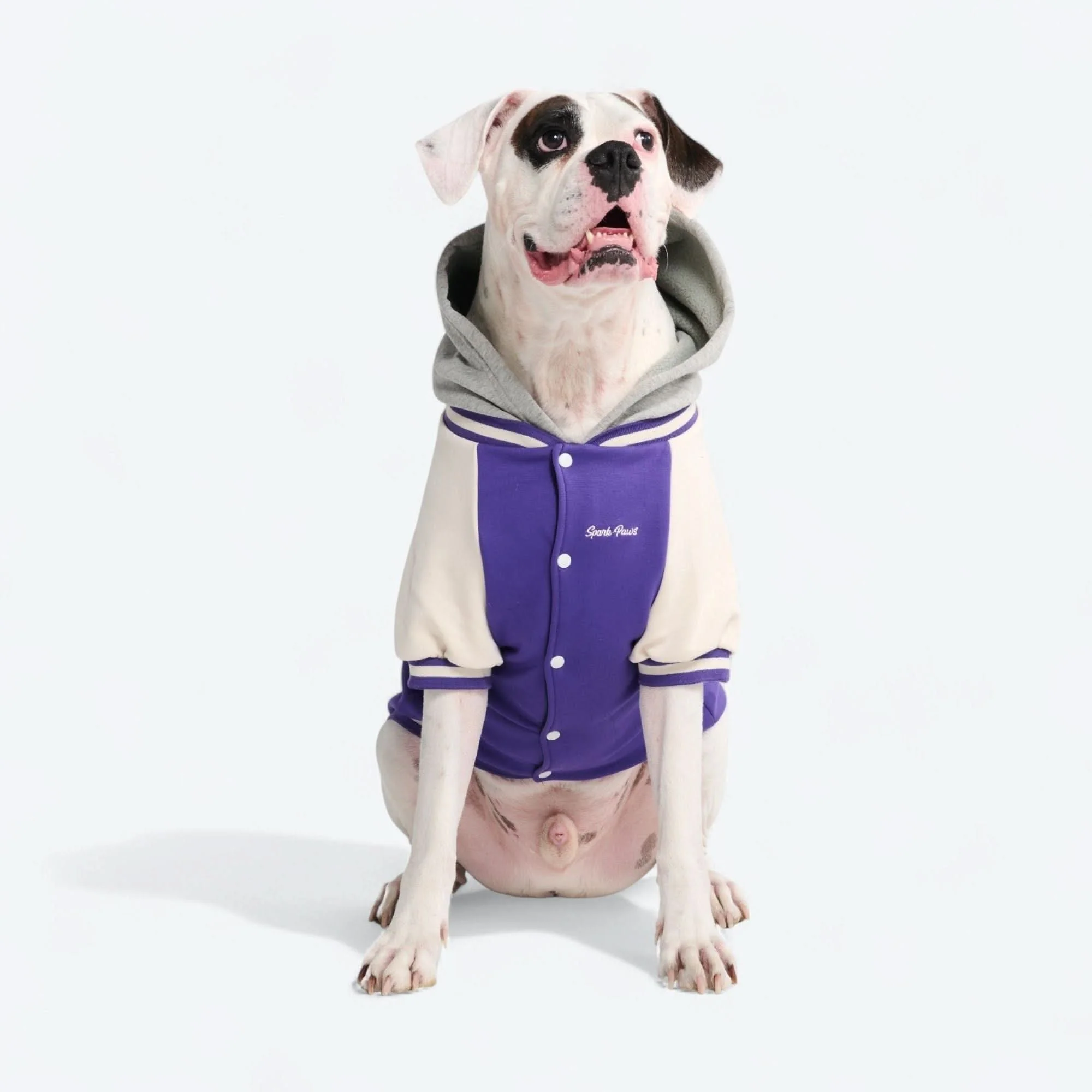 Dog Varsity Jacket - Purple - Image 3