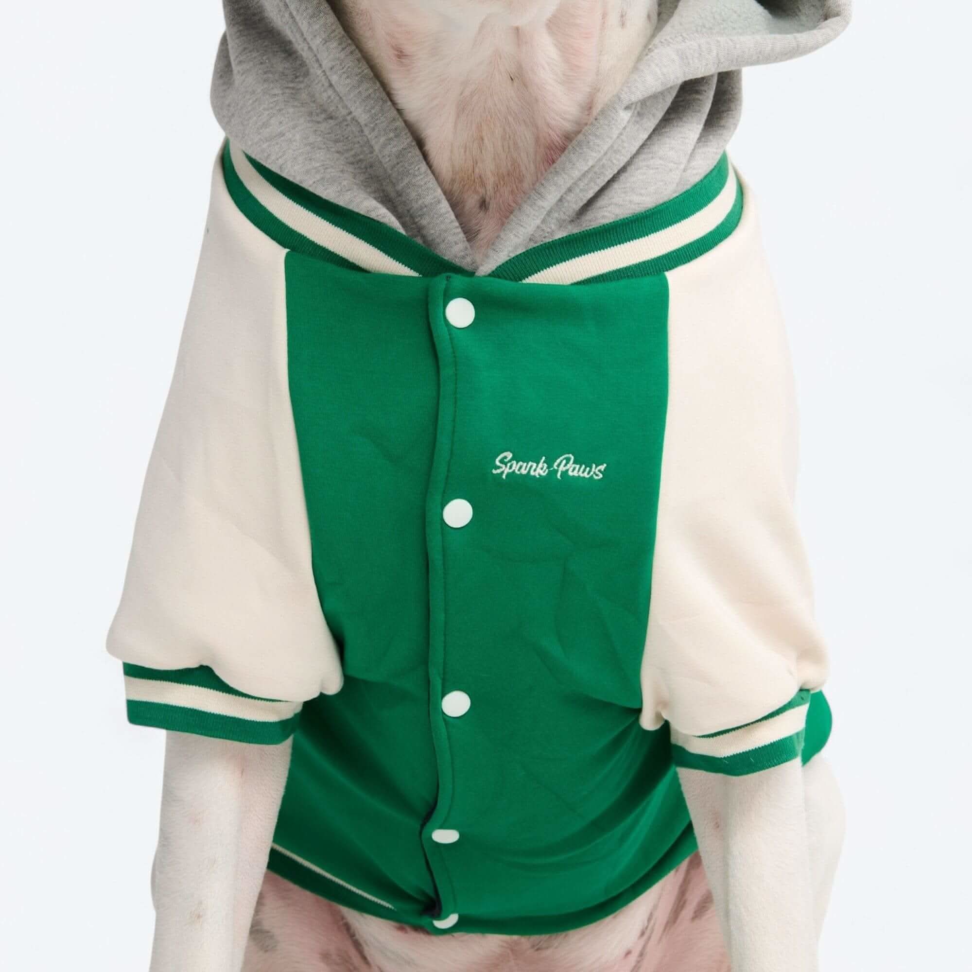 Dog Varsity Jackets - Image 22