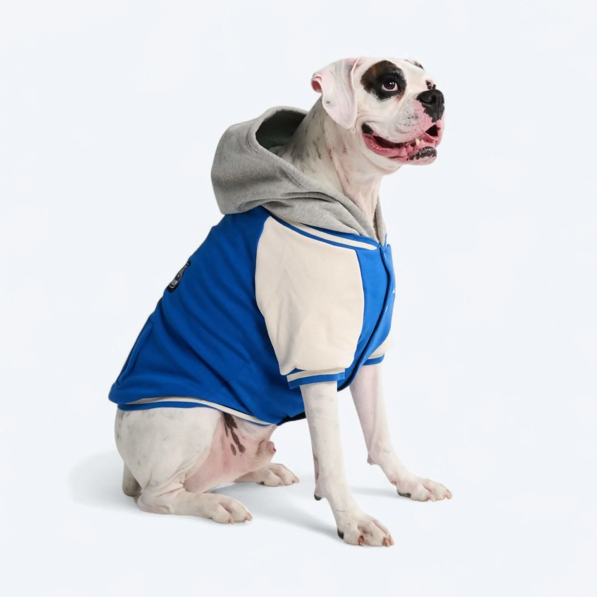 Dog Varsity Jackets - Image 31