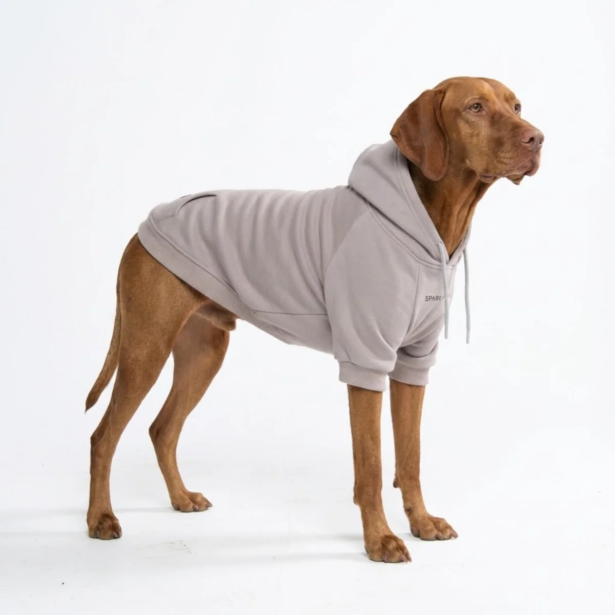 Essential Dog Hoodies - Image 103