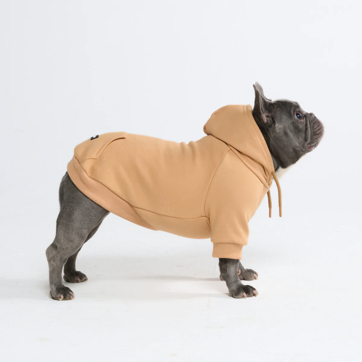 Essential Dog Hoodies - Image 122