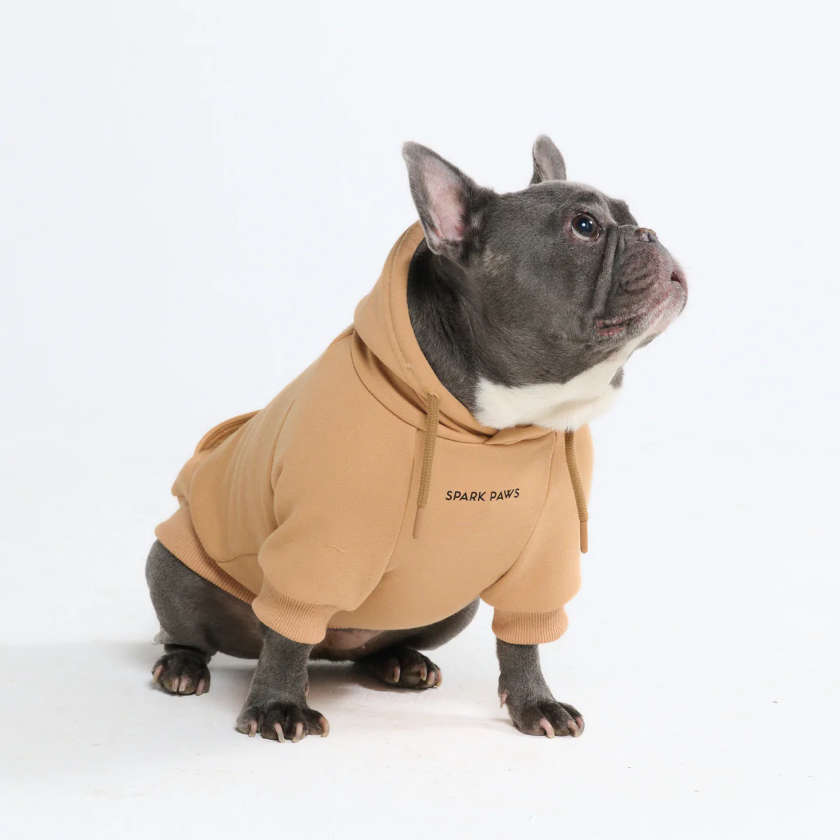 Essential Dog Hoodies - Image 123