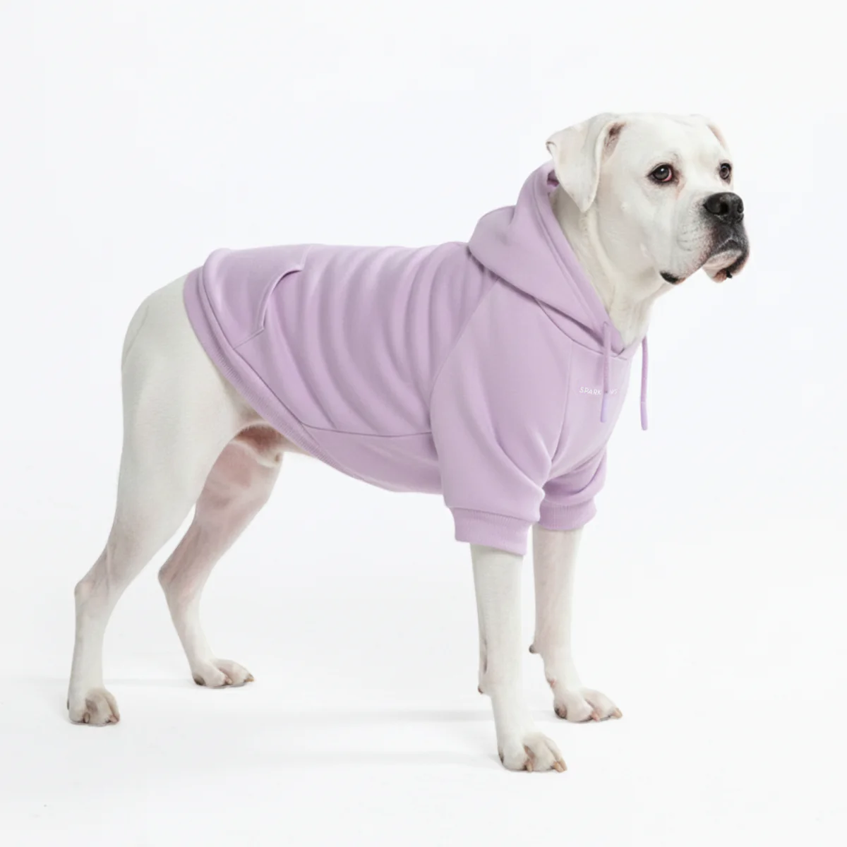 Essential Dog Hoodies - Image 17