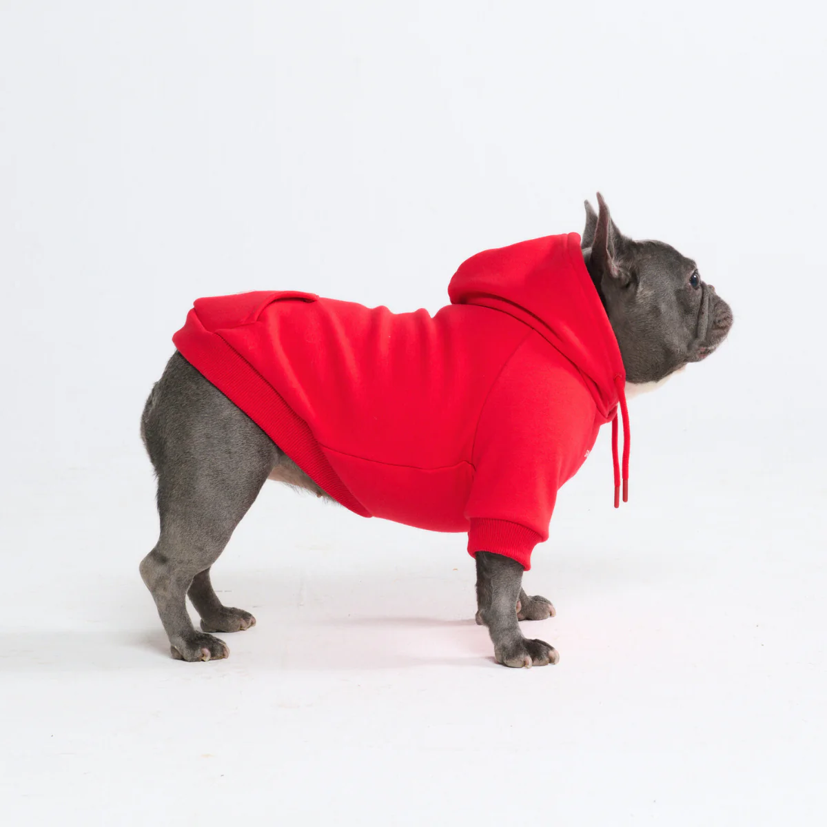Essential Dog Hoodies - Image 71