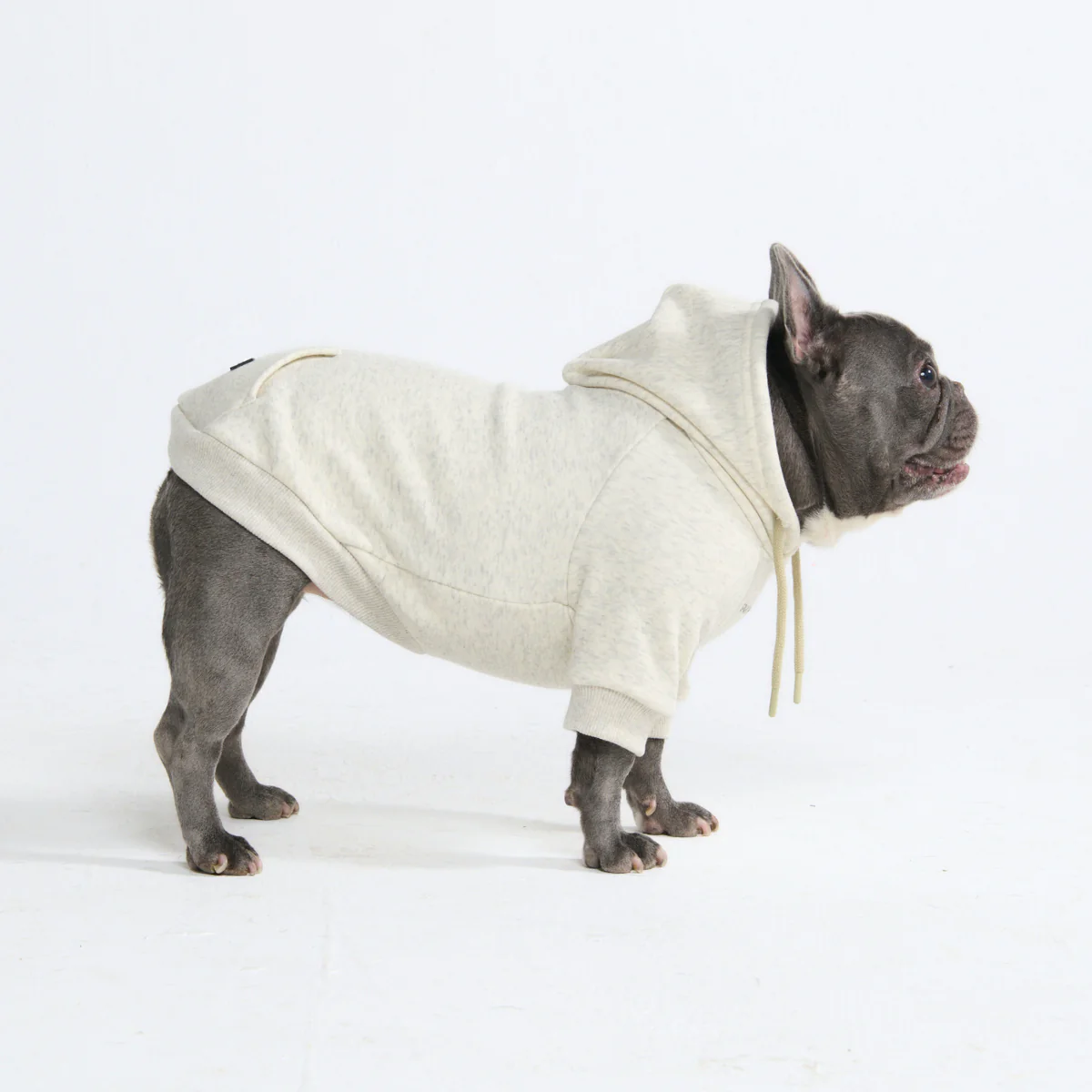 Essential Dog Hoodies - Image 93