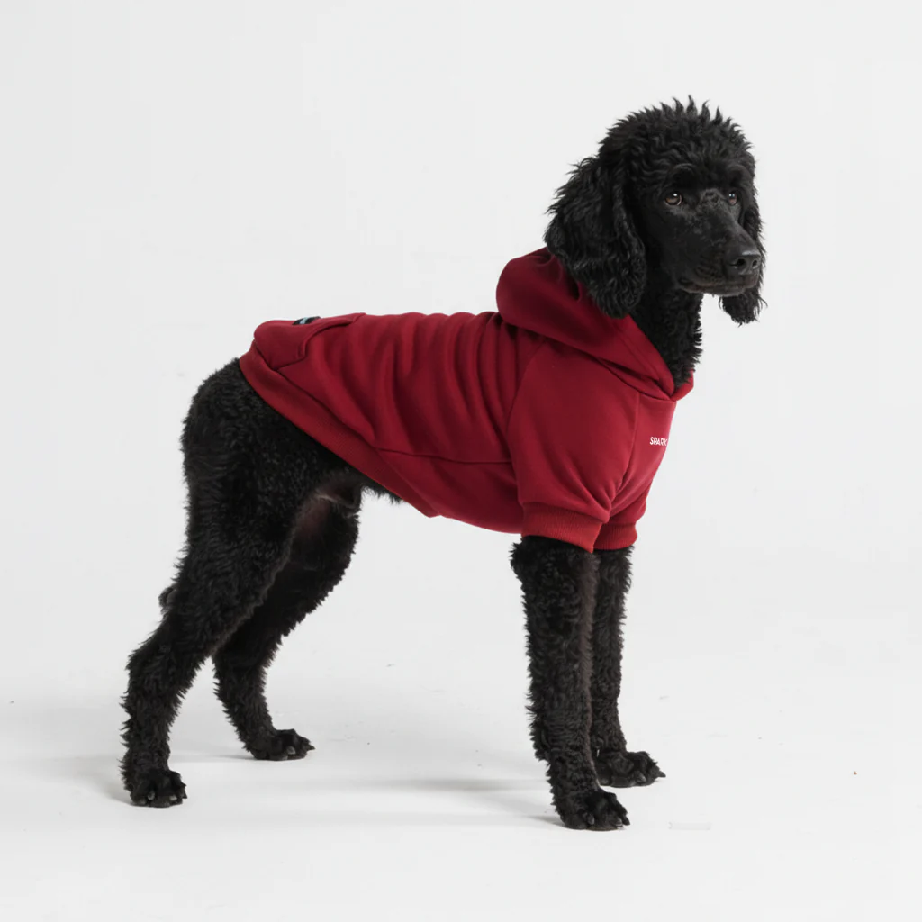 Essential Dog Hoodies - Image 17