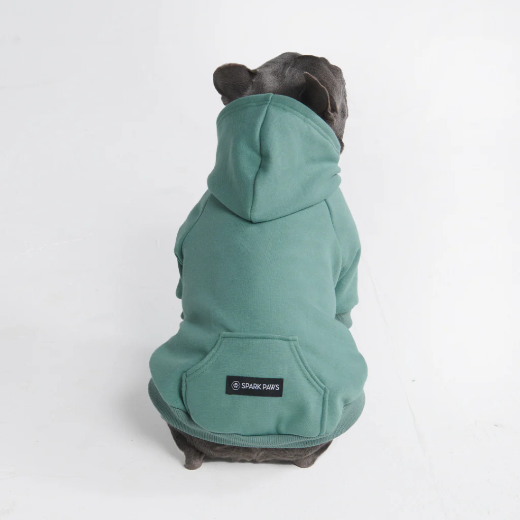 Essential Dog Hoodie - Teal - Image 10