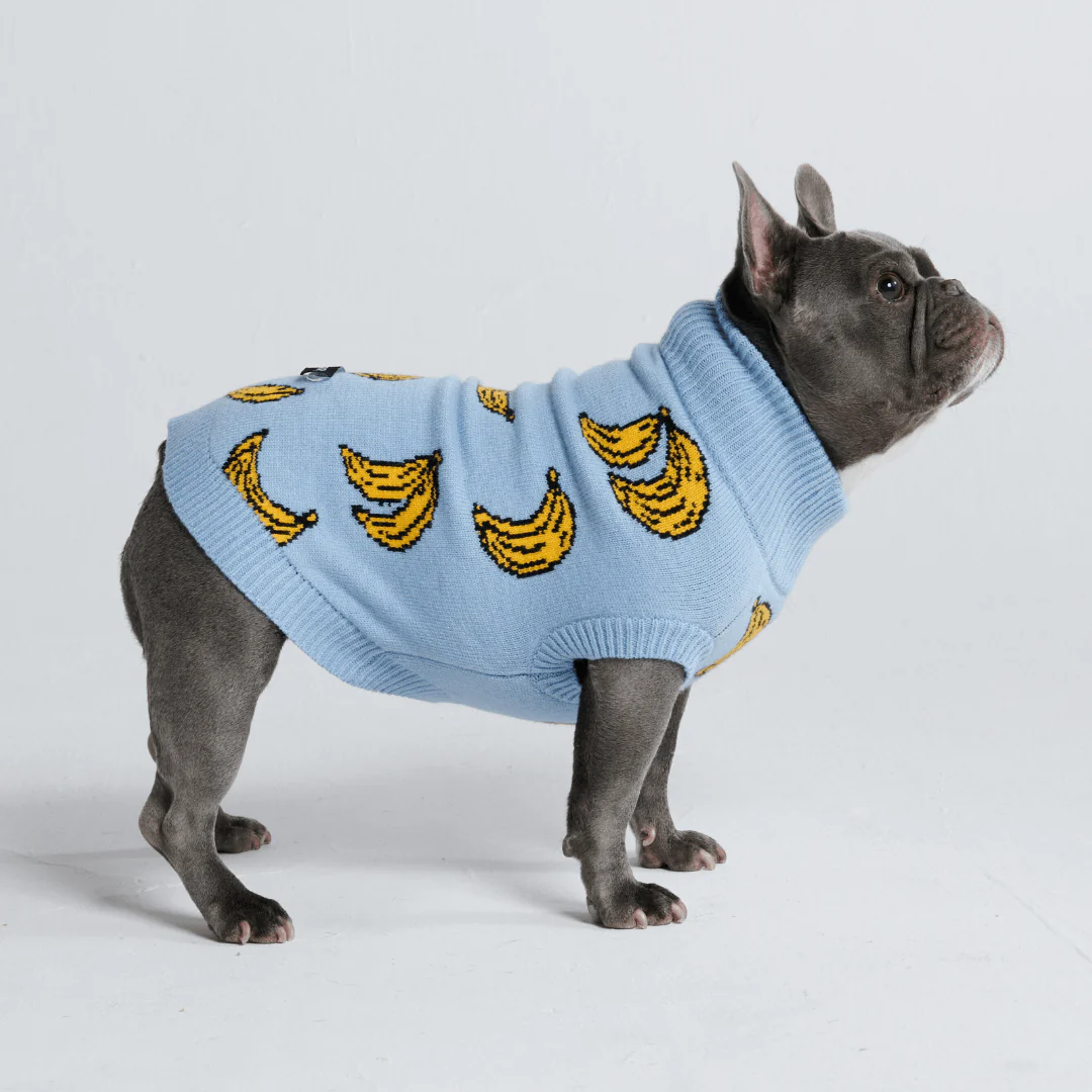 Knit Dog Sweater Prints - Image 15