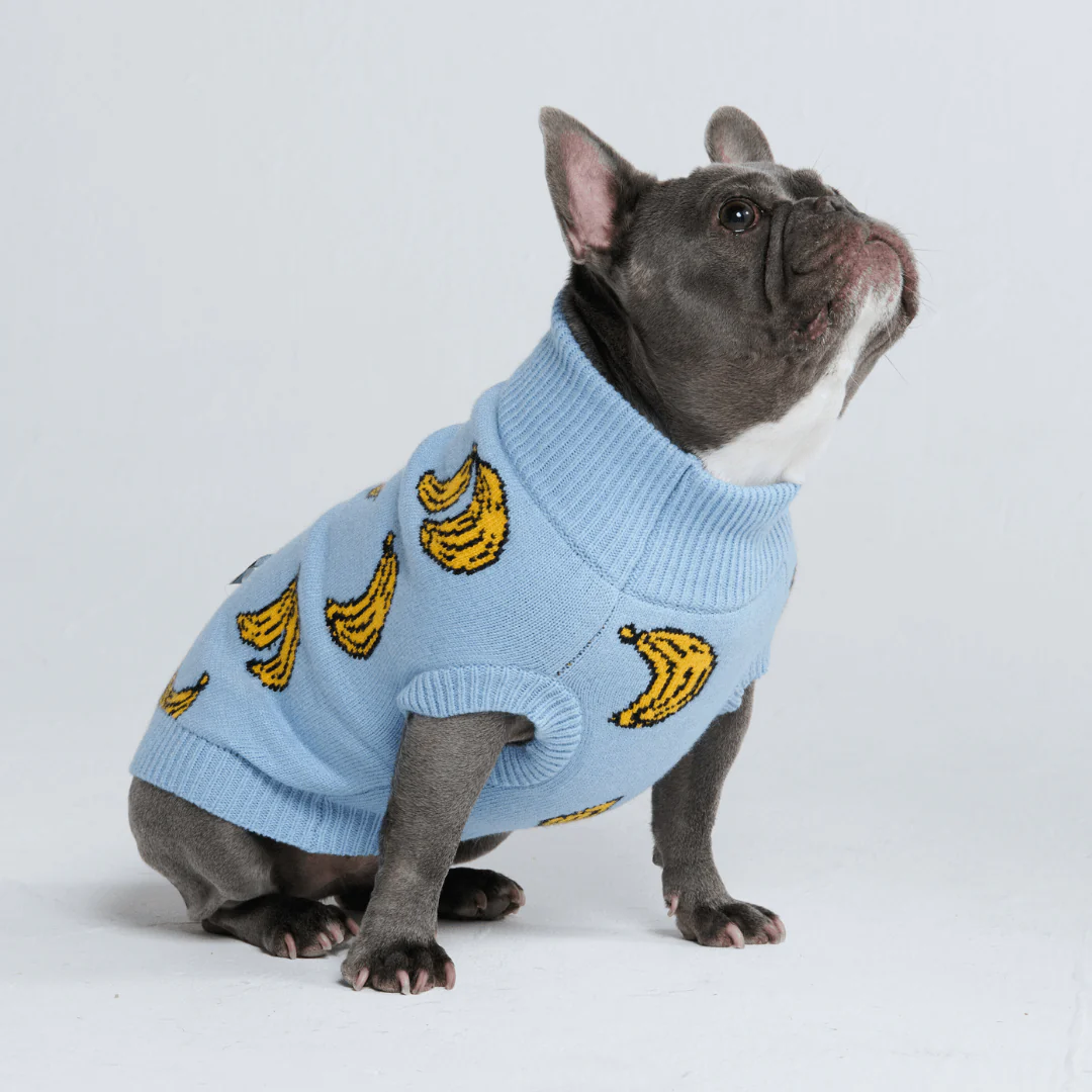 Knit Dog Sweater Prints - Image 18