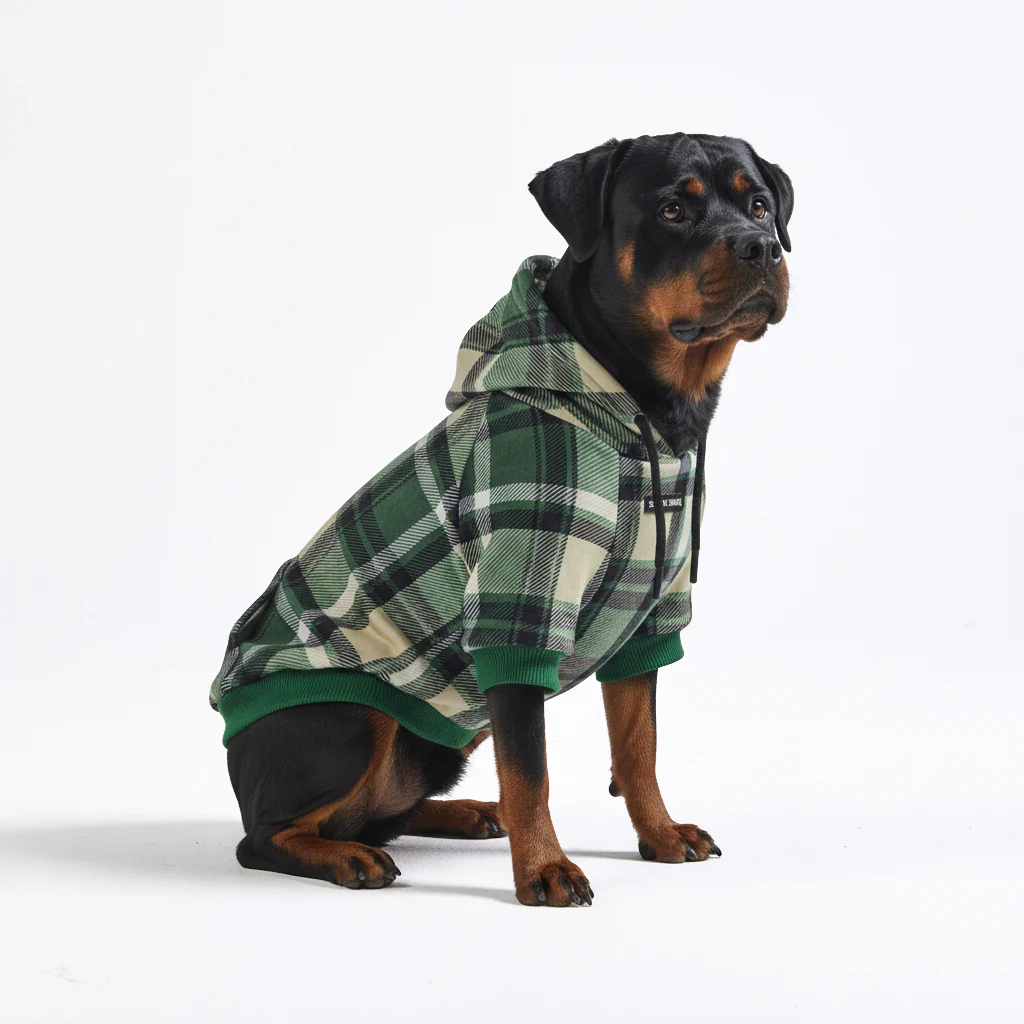 Green Plaid Dog Hoodie - Image 6