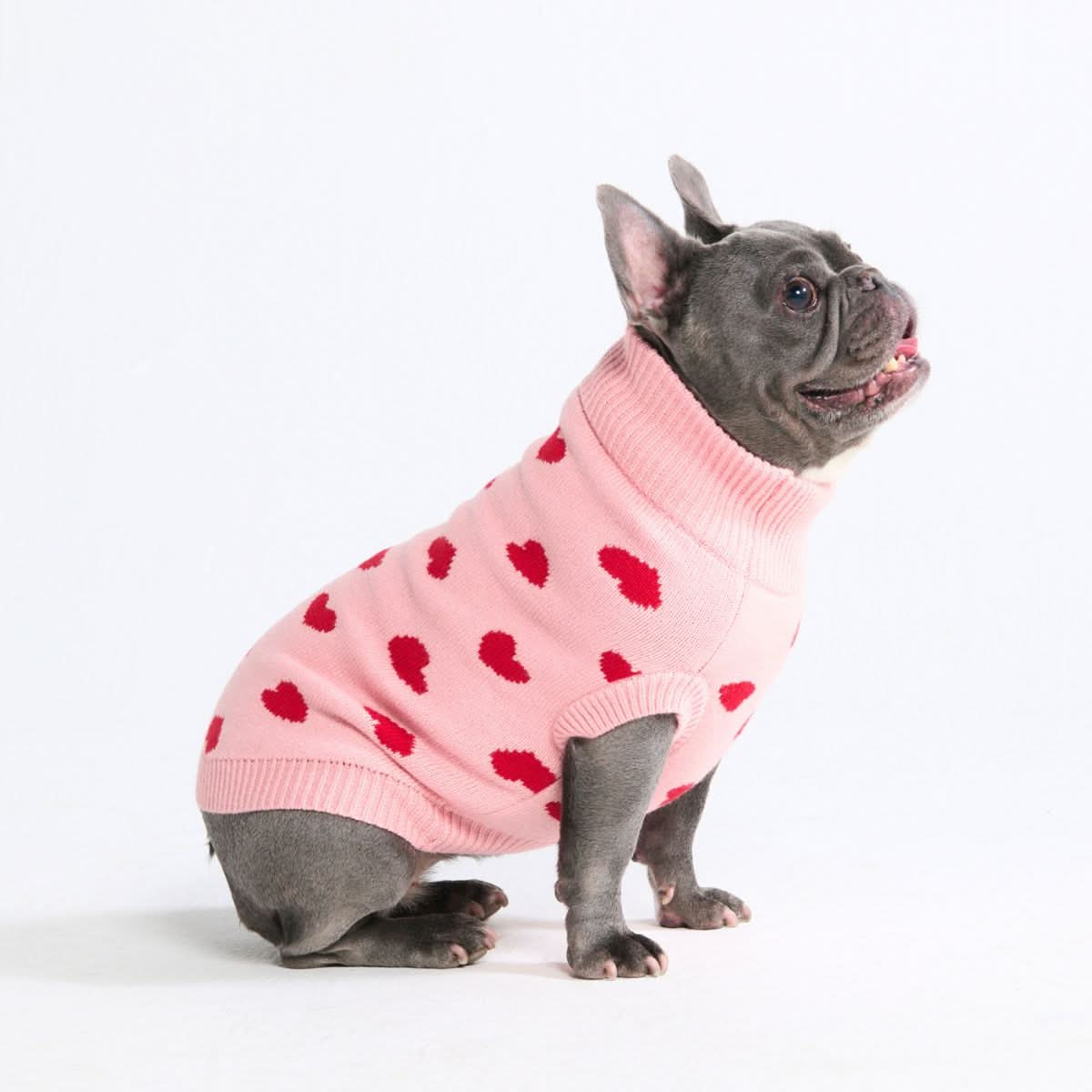 Hearts Knit Dog Sweater - Image 4