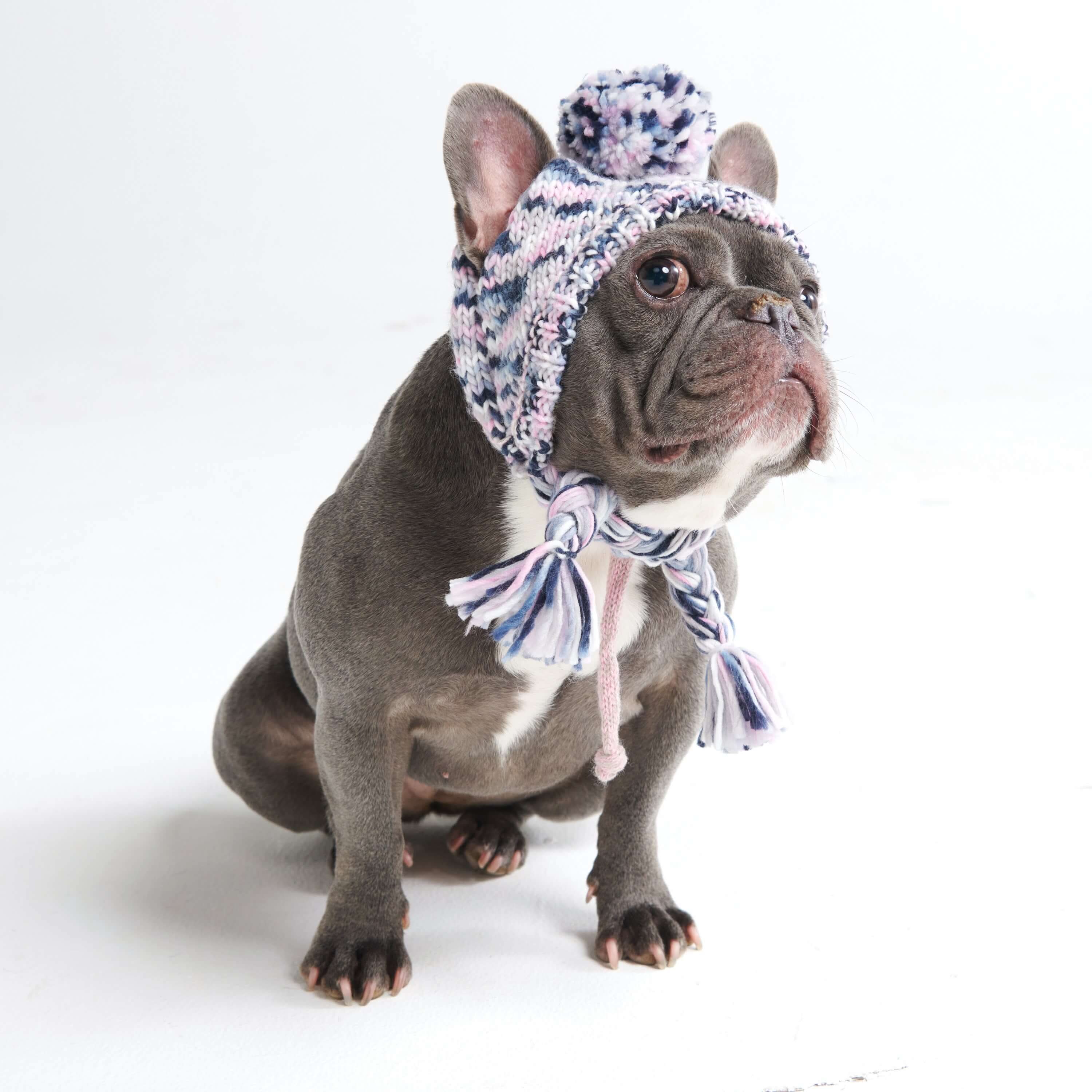 Knit Pom Pom Dog Beanie Hats - Image 11