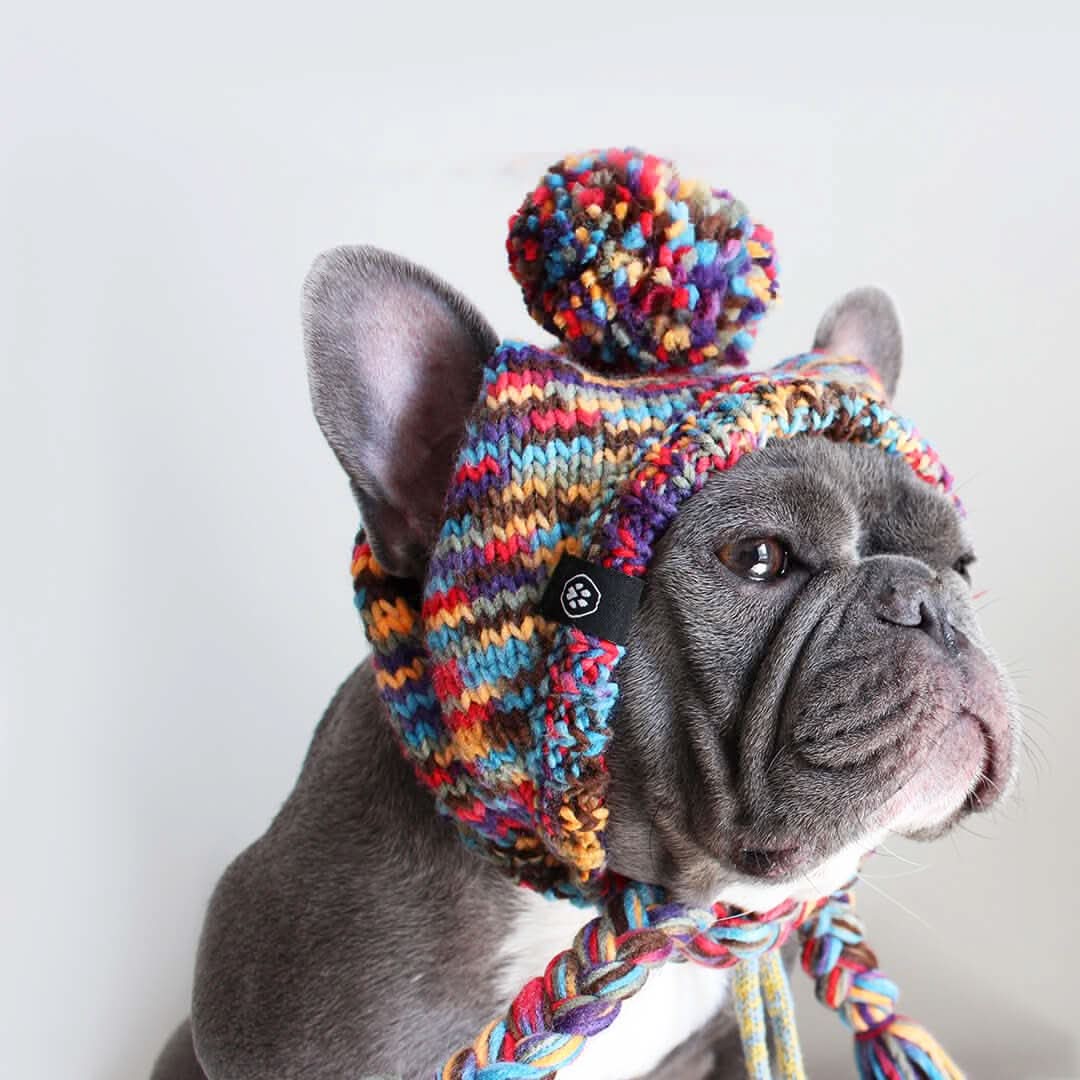 Knit Pom Pom Dog Beanie Hats - Image 5