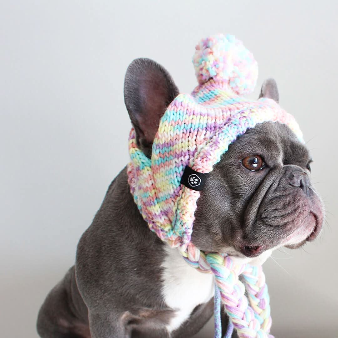 Knit Pom Pom Dog Beanie Hats - Image 9