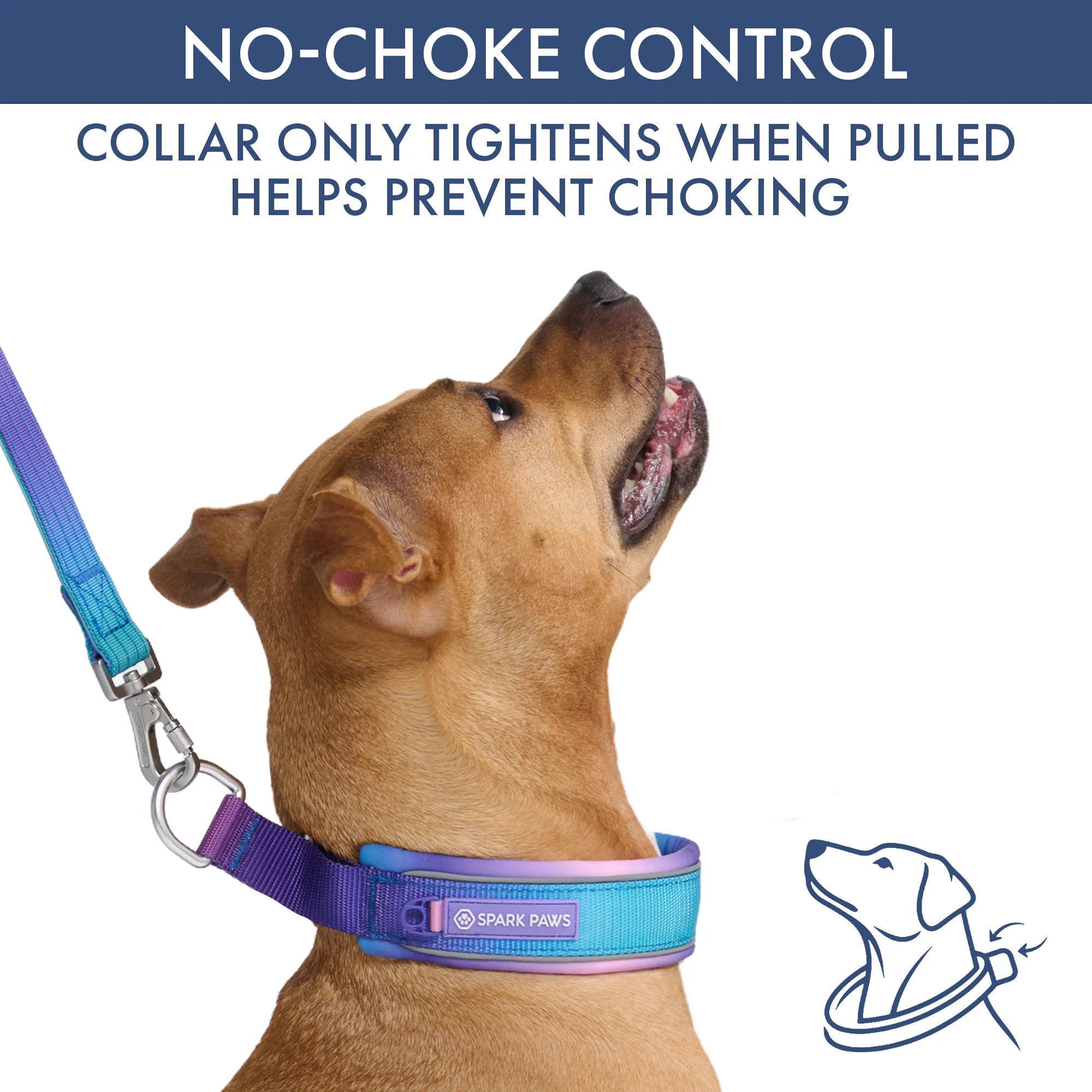 Martingale Collar and Multipurpose Leash Sets - Image 13