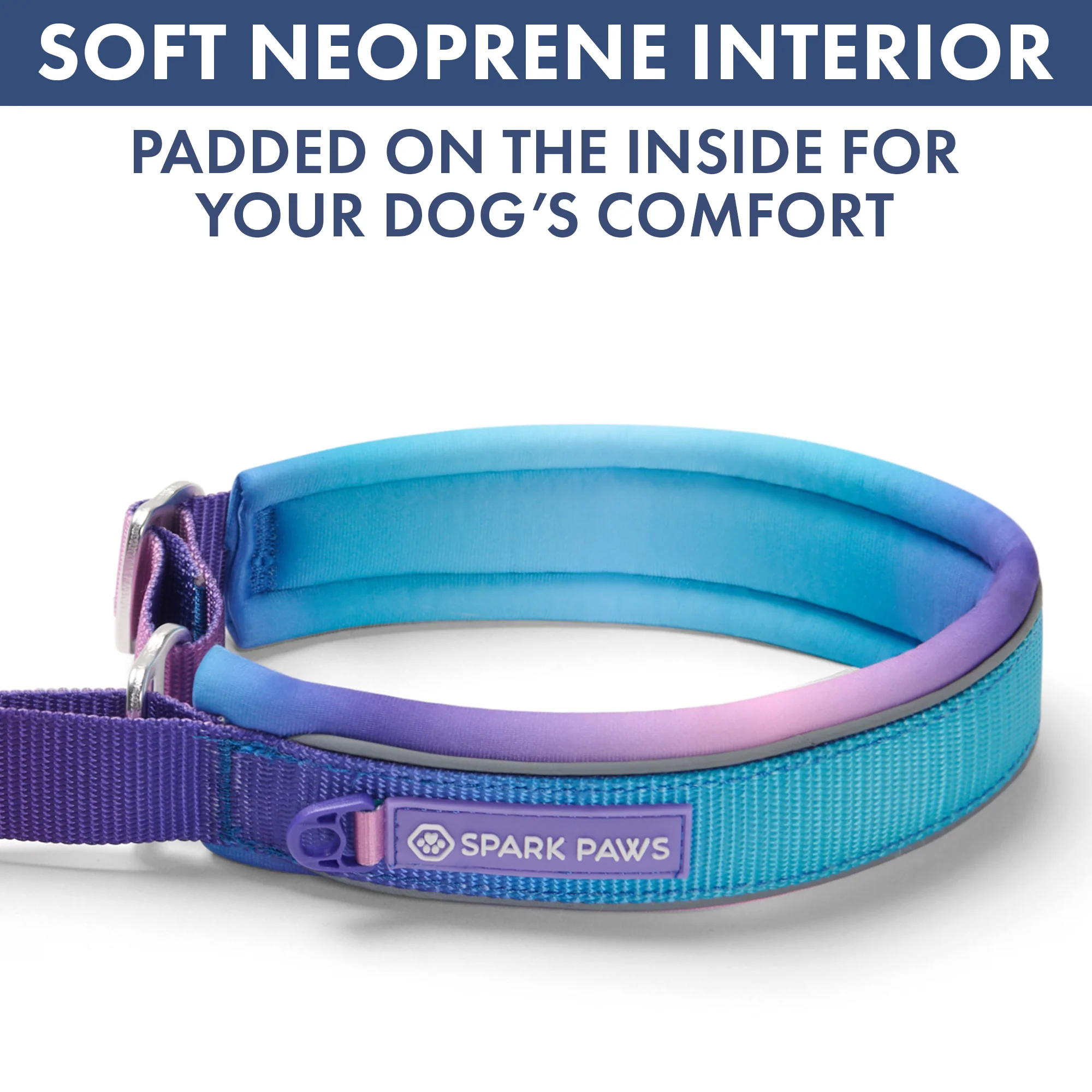Martingale Collar and Multipurpose Leash Sets - Image 16