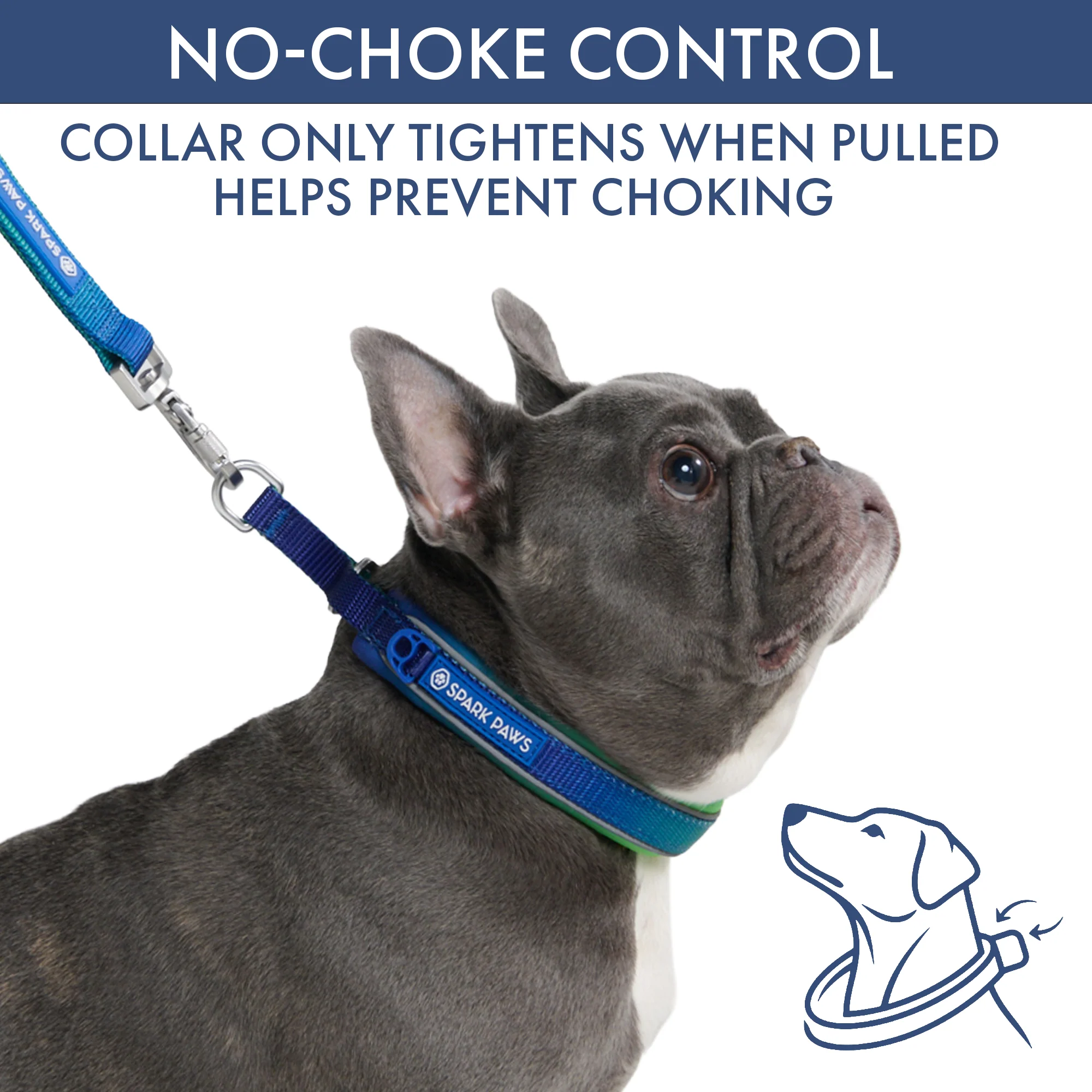 Martingale Collar and Multipurpose Leash Set - Lime Wave - Image 2