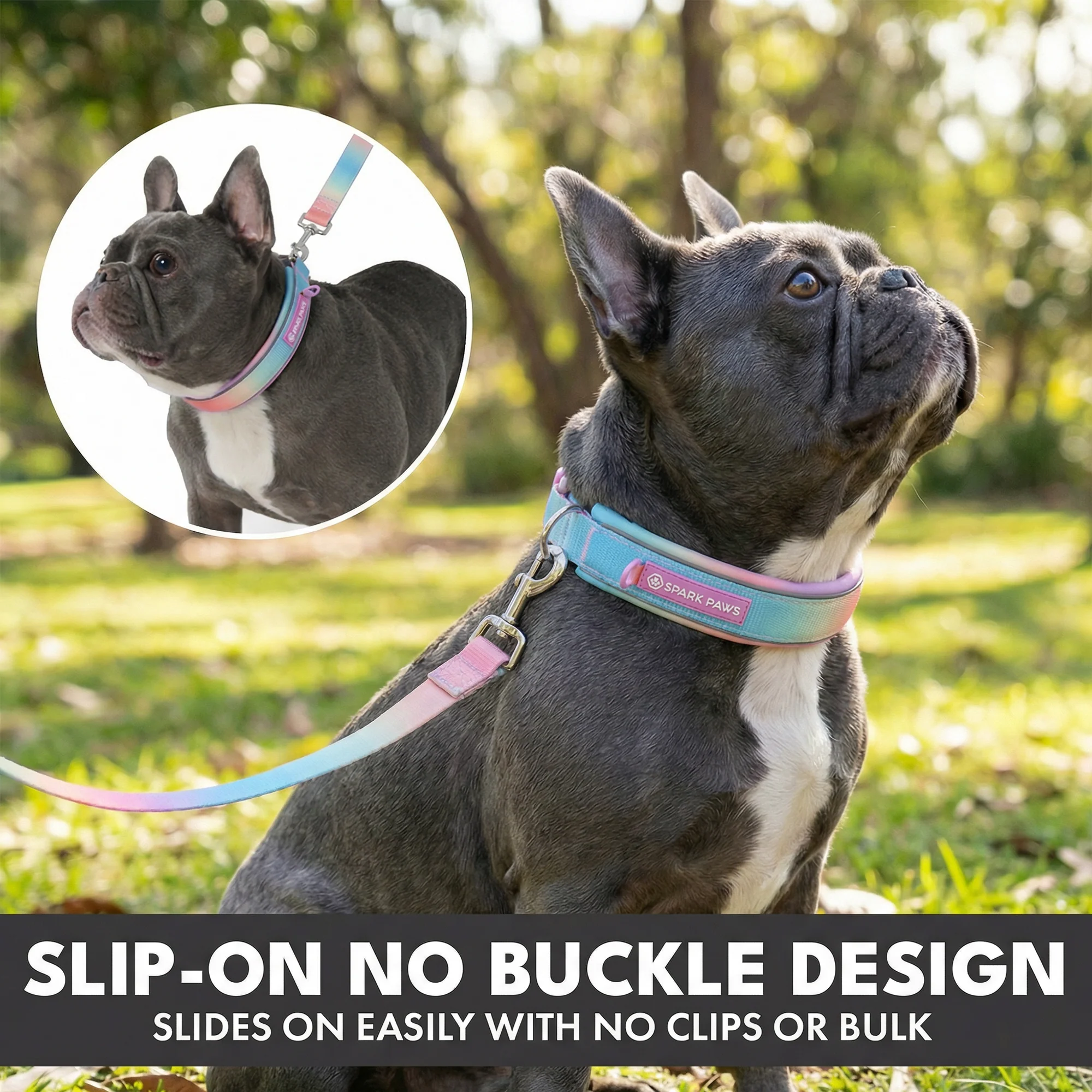 Martingale Collar and Multipurpose Leash Sets - Image 24