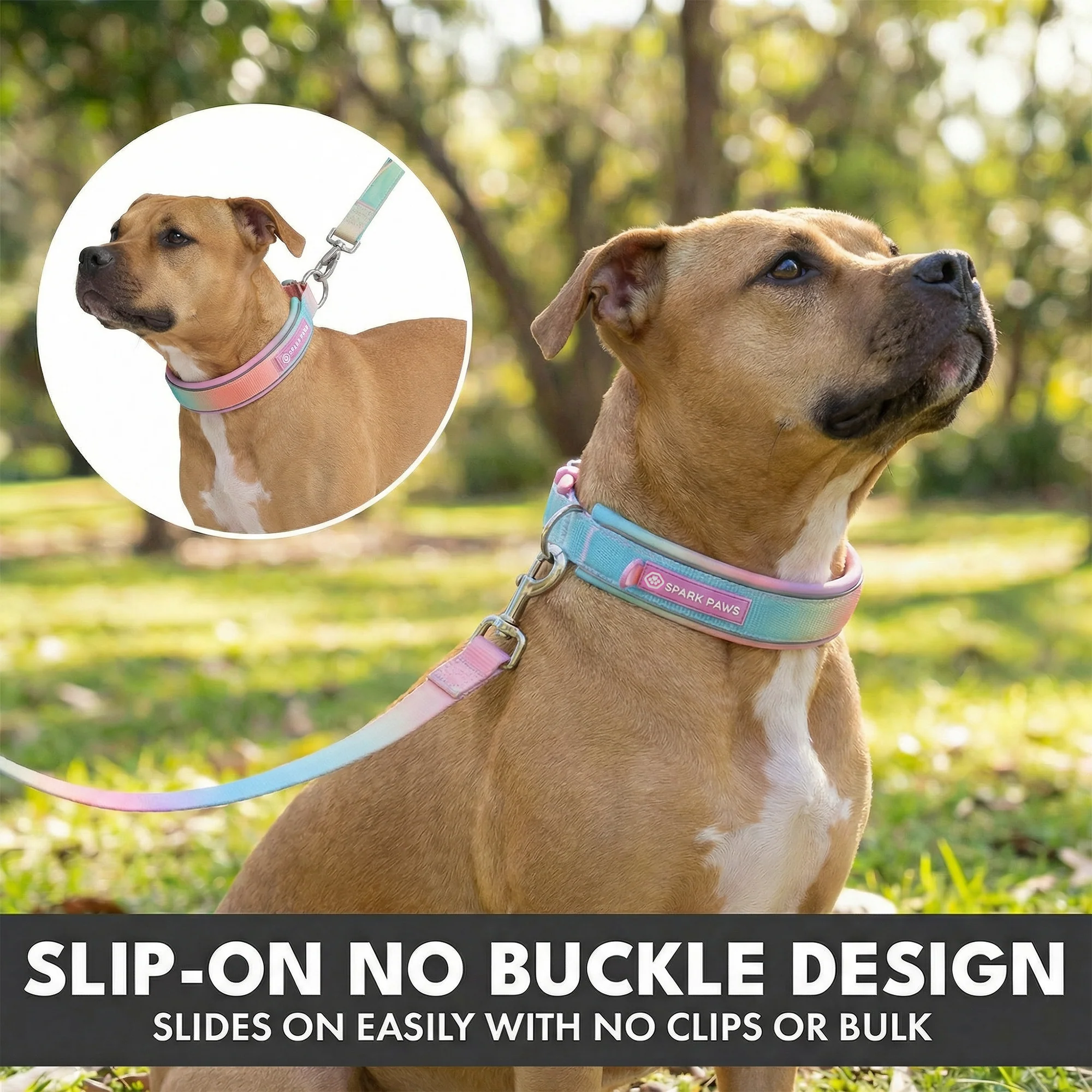 Martingale Collar and Multipurpose Leash Sets - Image 25