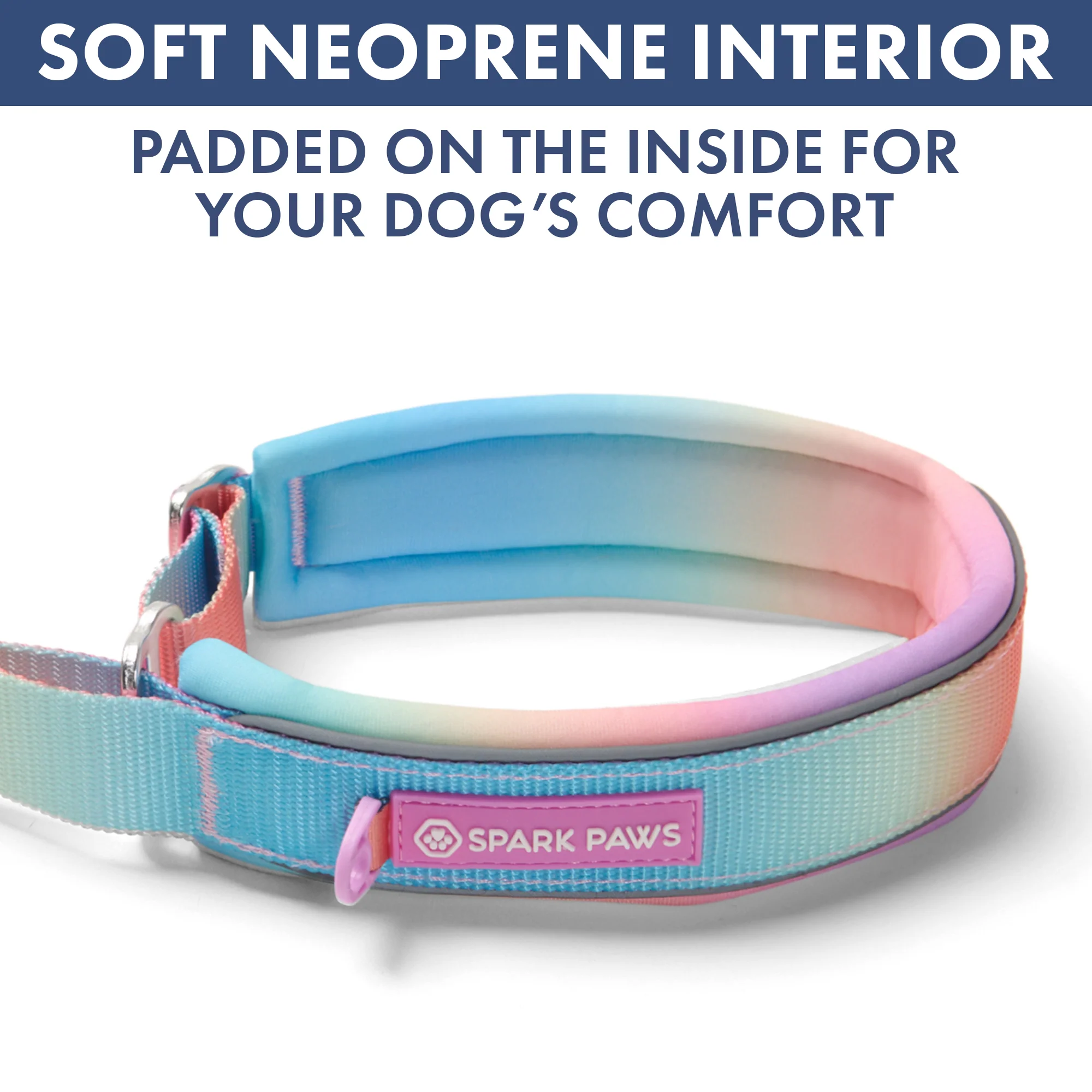 Martingale Collar and Multipurpose Leash Sets - Image 26