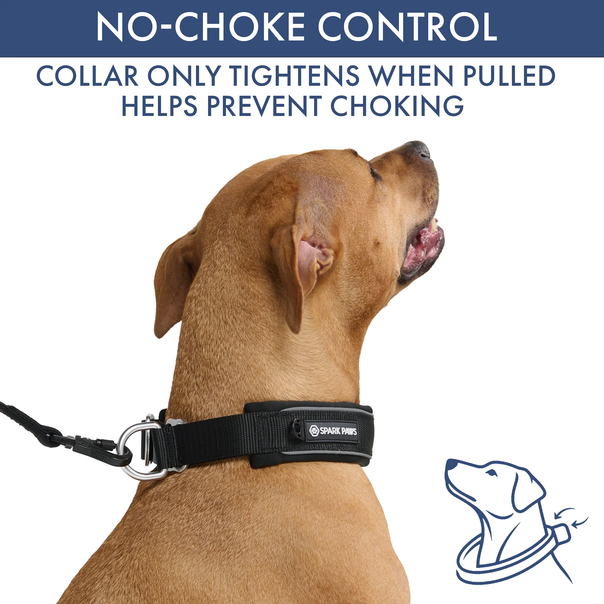 Martingale Collar and Multipurpose Leash Sets - Image 33