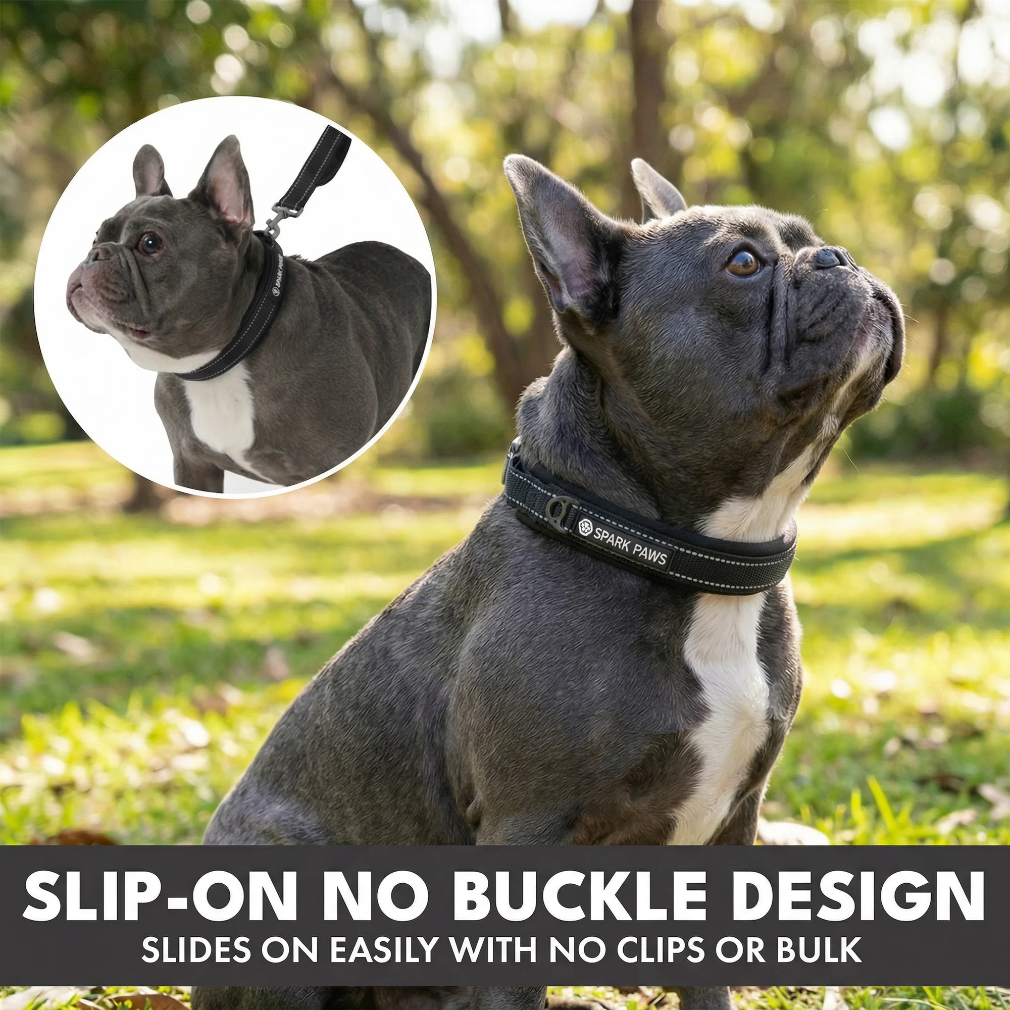 Martingale Collar and Multipurpose Leash Sets - Image 34