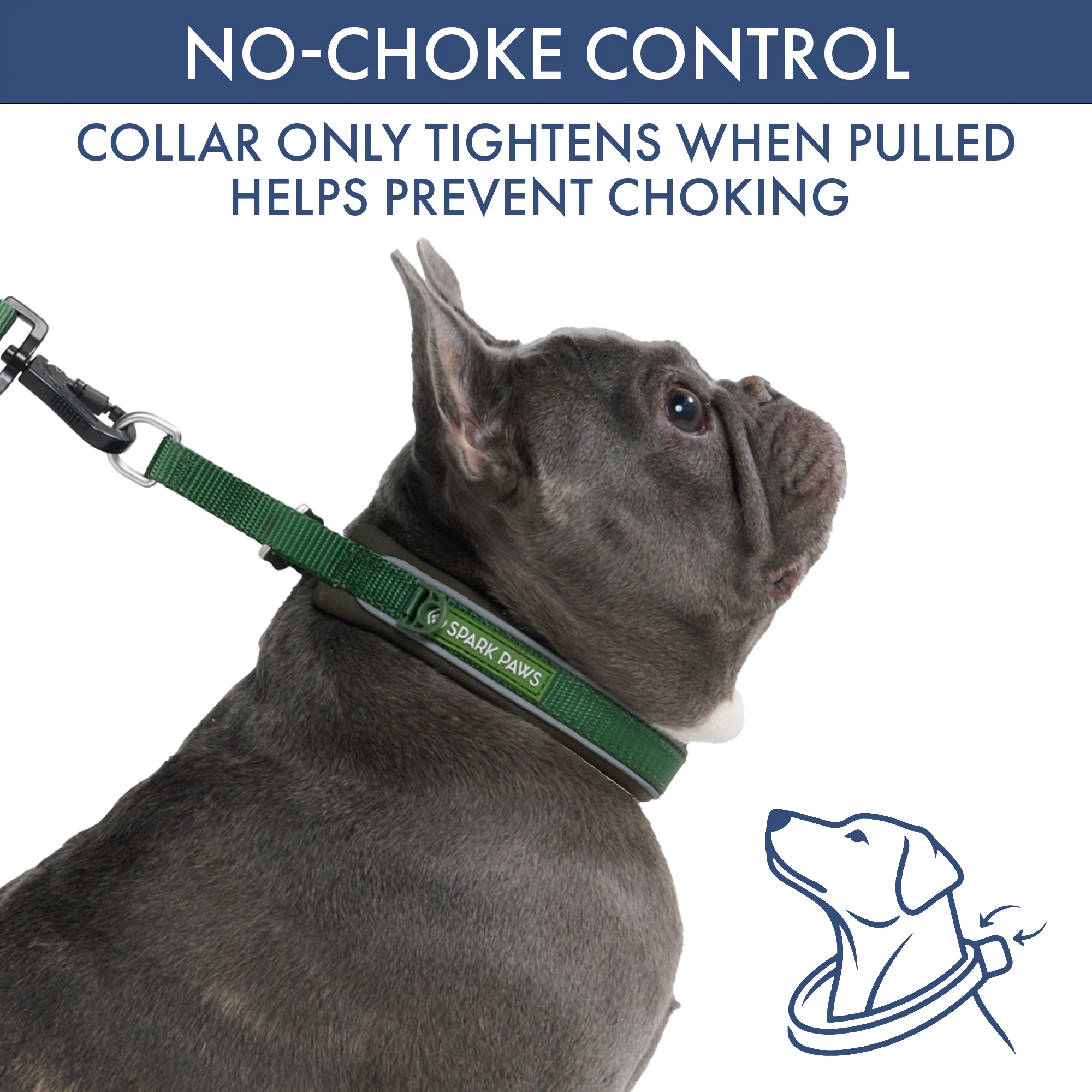 Martingale Collar and Multipurpose Leash Sets - Image 42