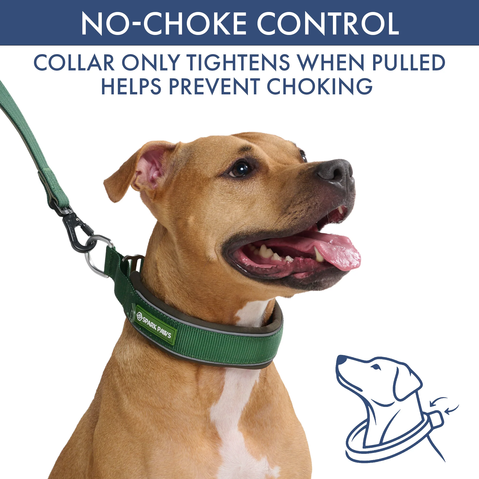 Martingale Collar and Multipurpose Leash Sets - Image 43
