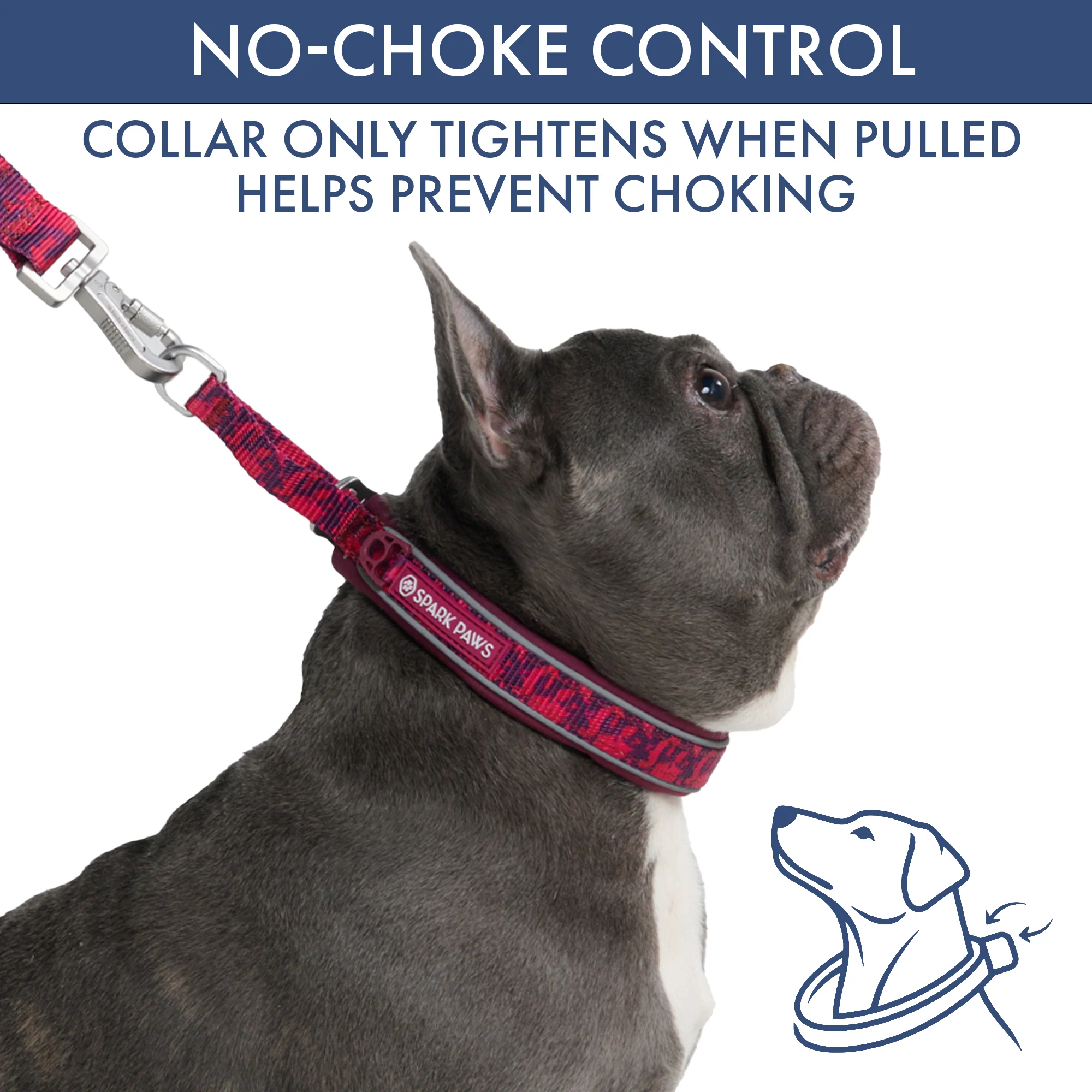 Martingale Collar and Multipurpose Leash Sets - Image 72