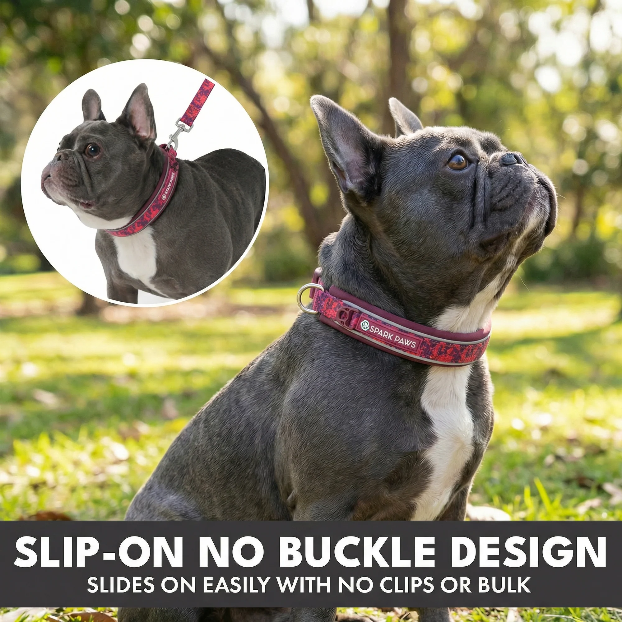 Martingale Collar and Multipurpose Leash Sets - Image 74