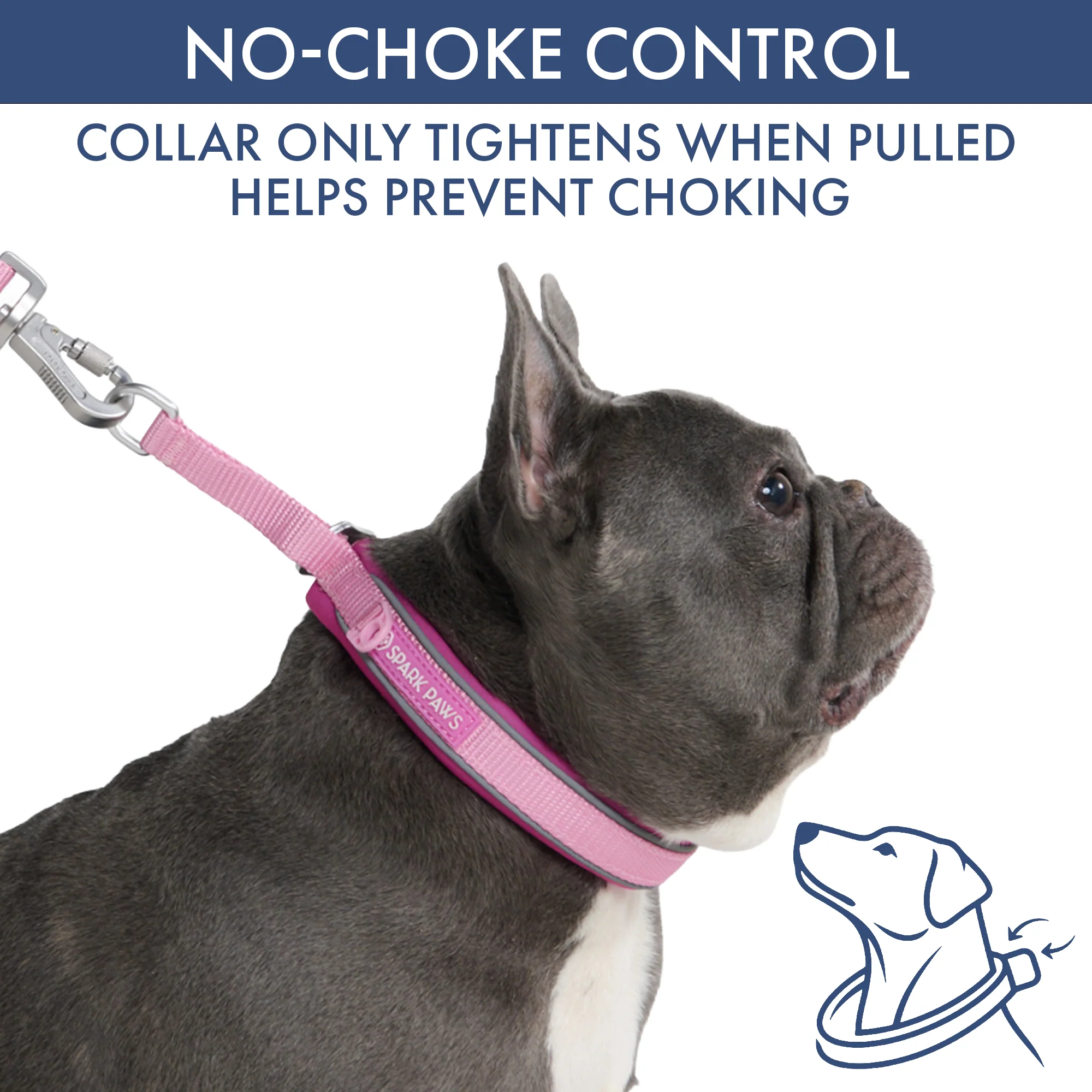 Martingale Collar and Multipurpose Leash Sets - Image 82