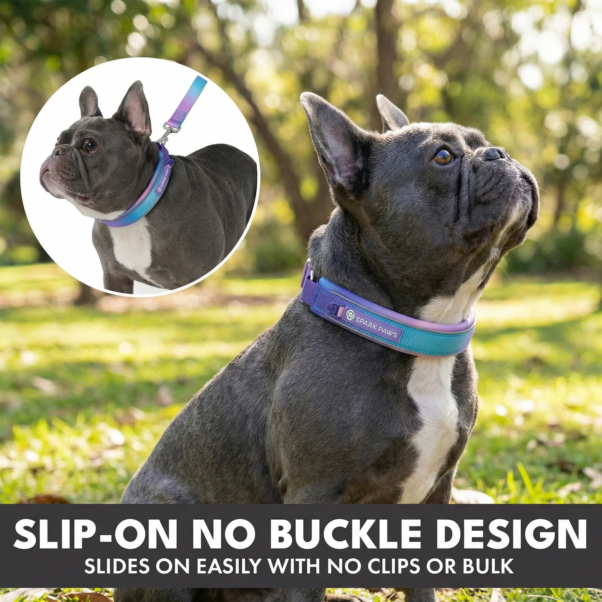 Martingale Collar Set - 90s Retro - Image 4