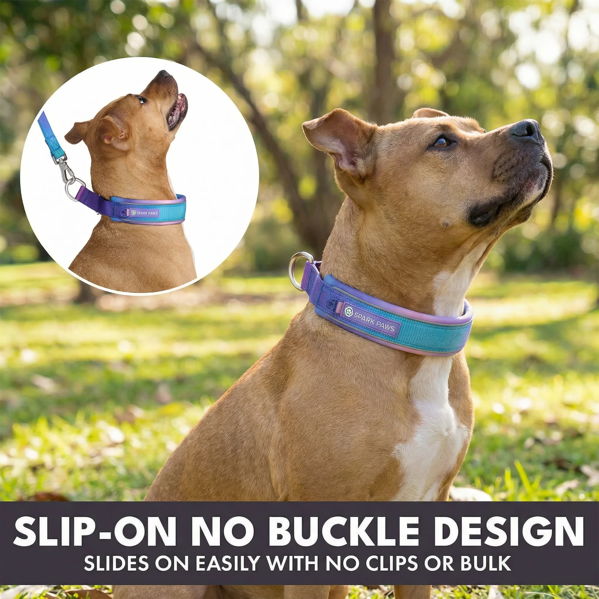 Martingale Collar Set - 90s Retro - Image 5