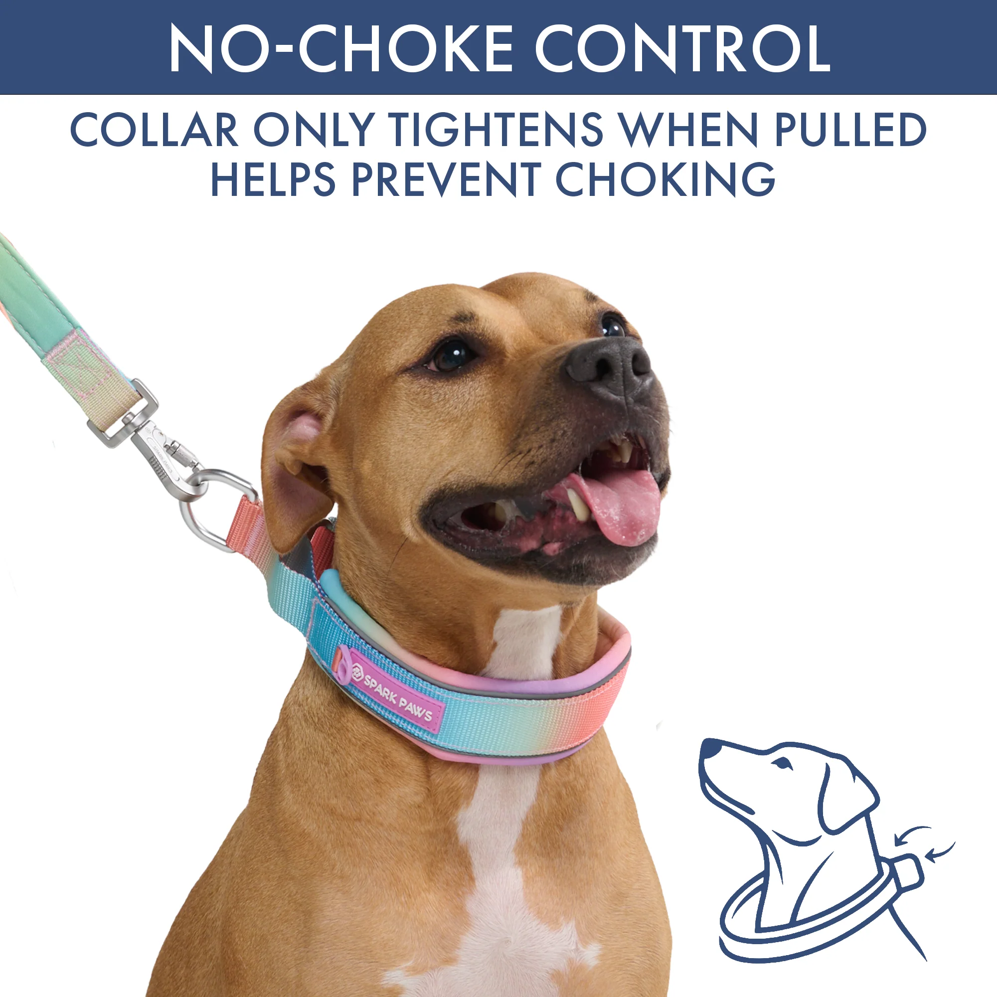 Martingale Collar Set - Pastel Icing - Image 3