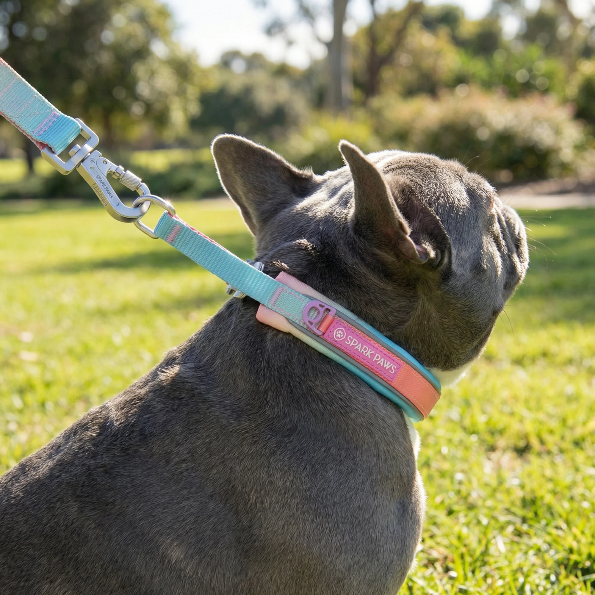 Martingale Collar Set - Pastel Icing - Image 10