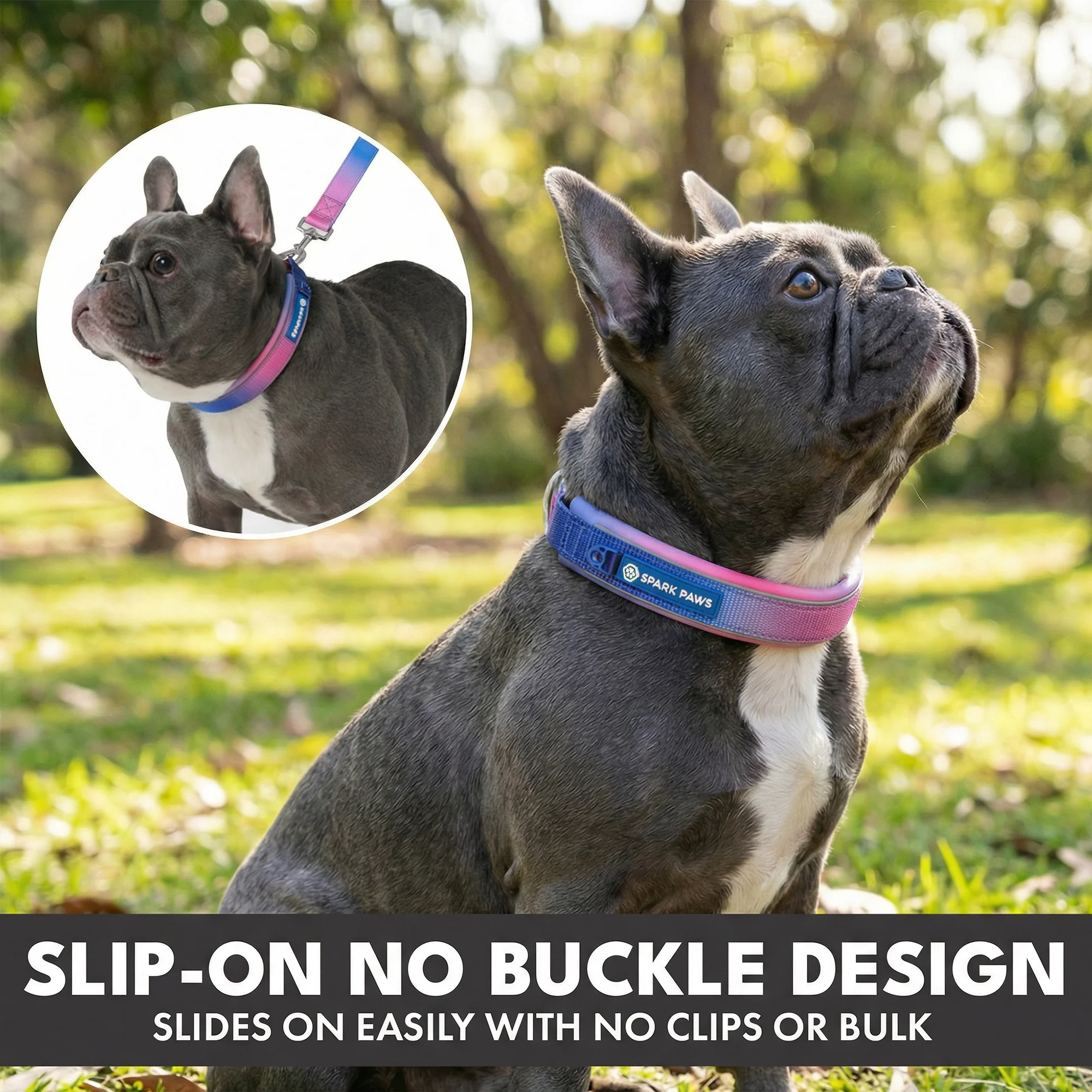 Martingale Collar Set - Snow Cone - Image 4