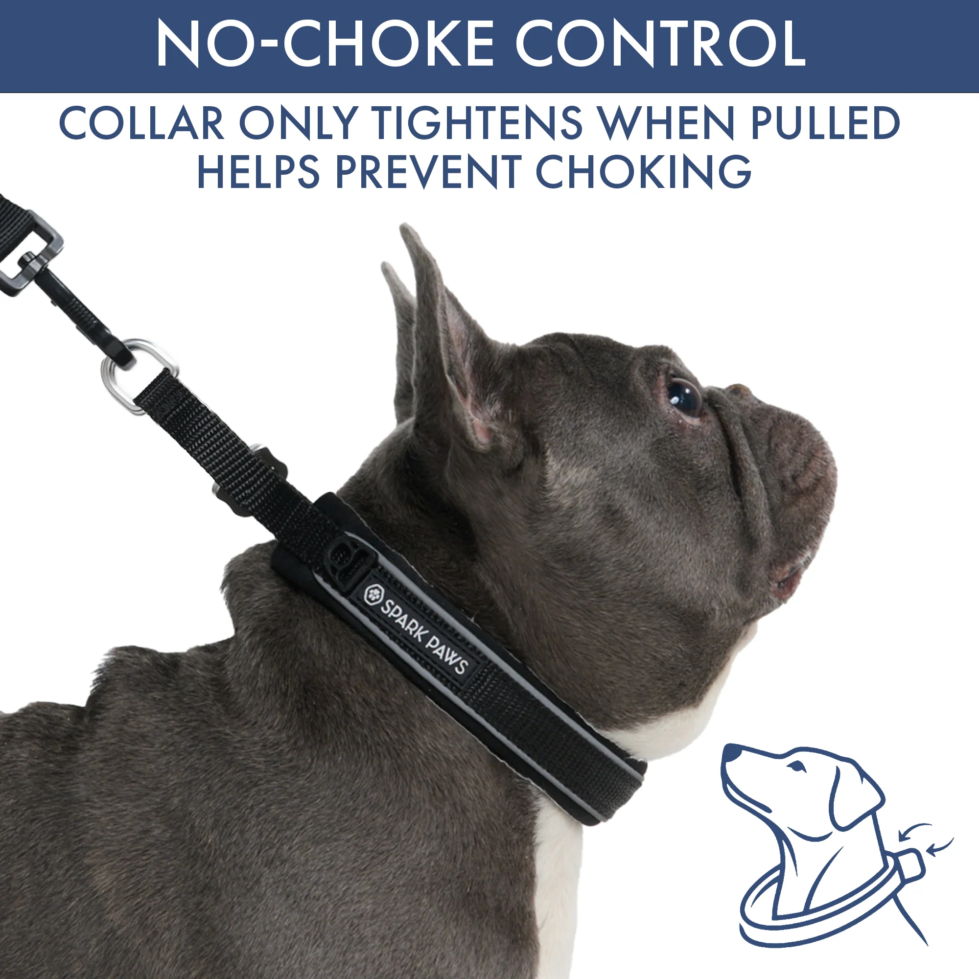 Martingale Collar Set - Black - Image 2